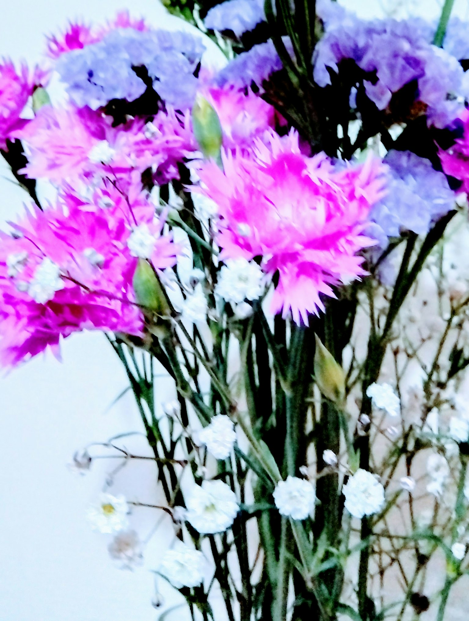 Rangkaian bunga anyelir merah muda dan ungu dengan bunga gypsophila putih