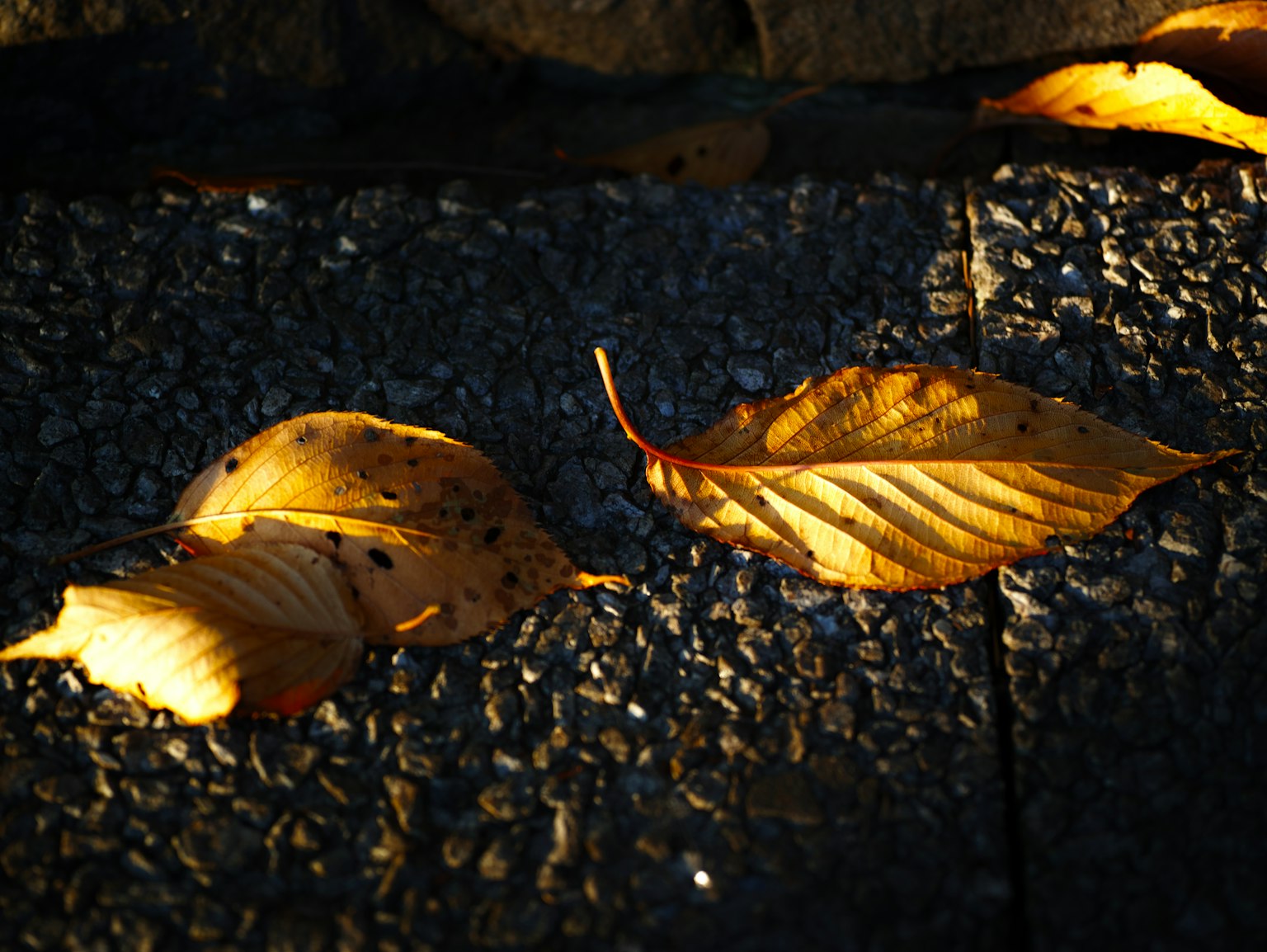 photo-XPBzGG8jZ94G7IPAcMHW-image