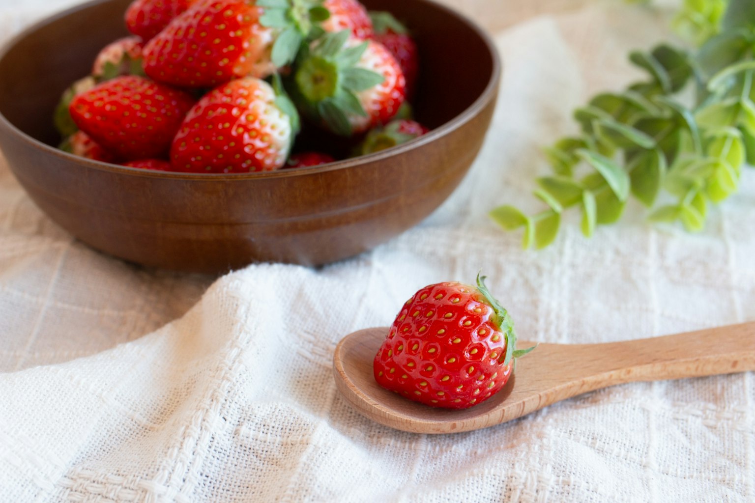 Fraises fraîches dans un bol en bois avec une fraise sur une cuillère en bois sur un tissu blanc