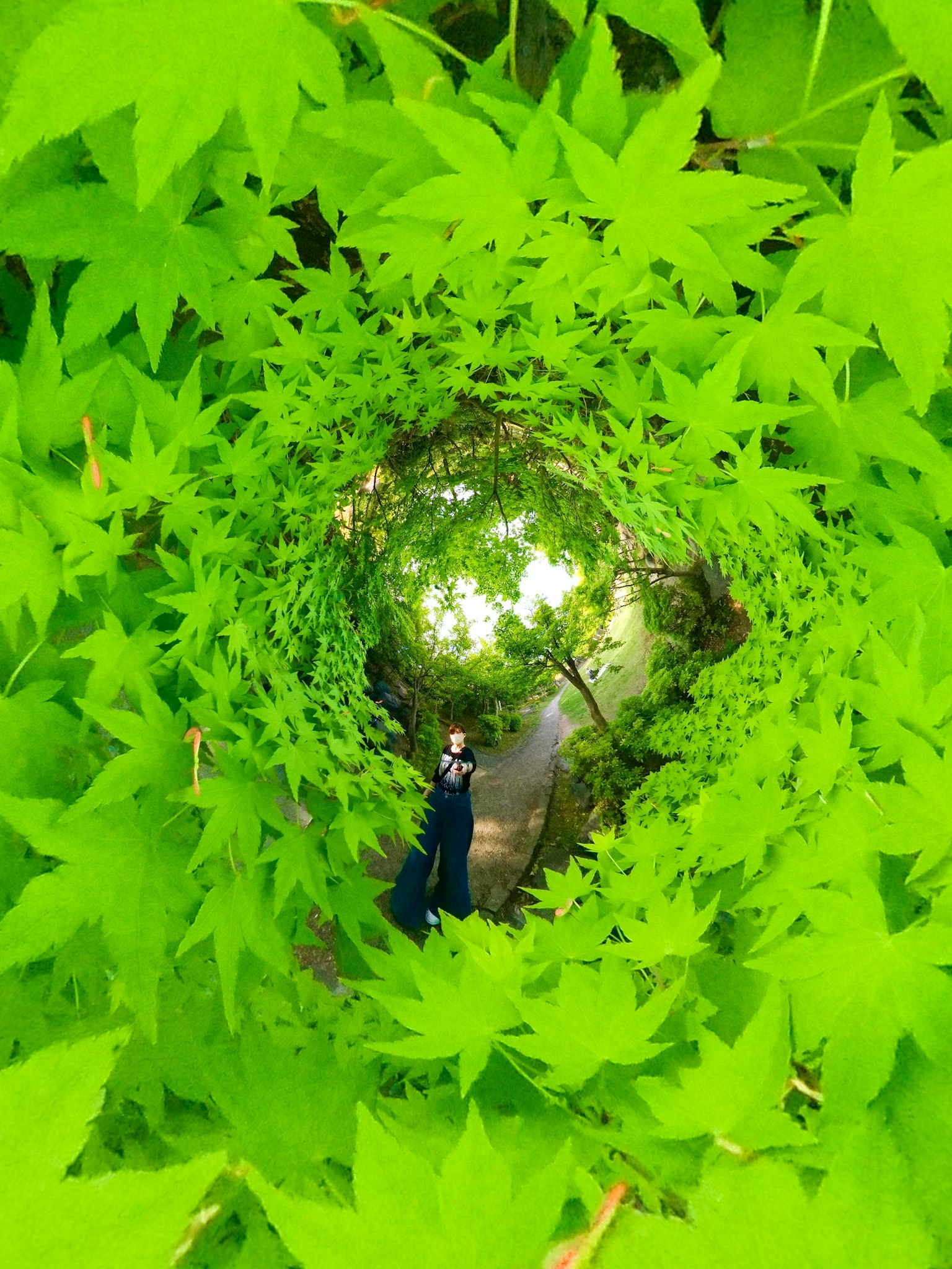 Una persona che cammina attraverso un tunnel di foglie verdi