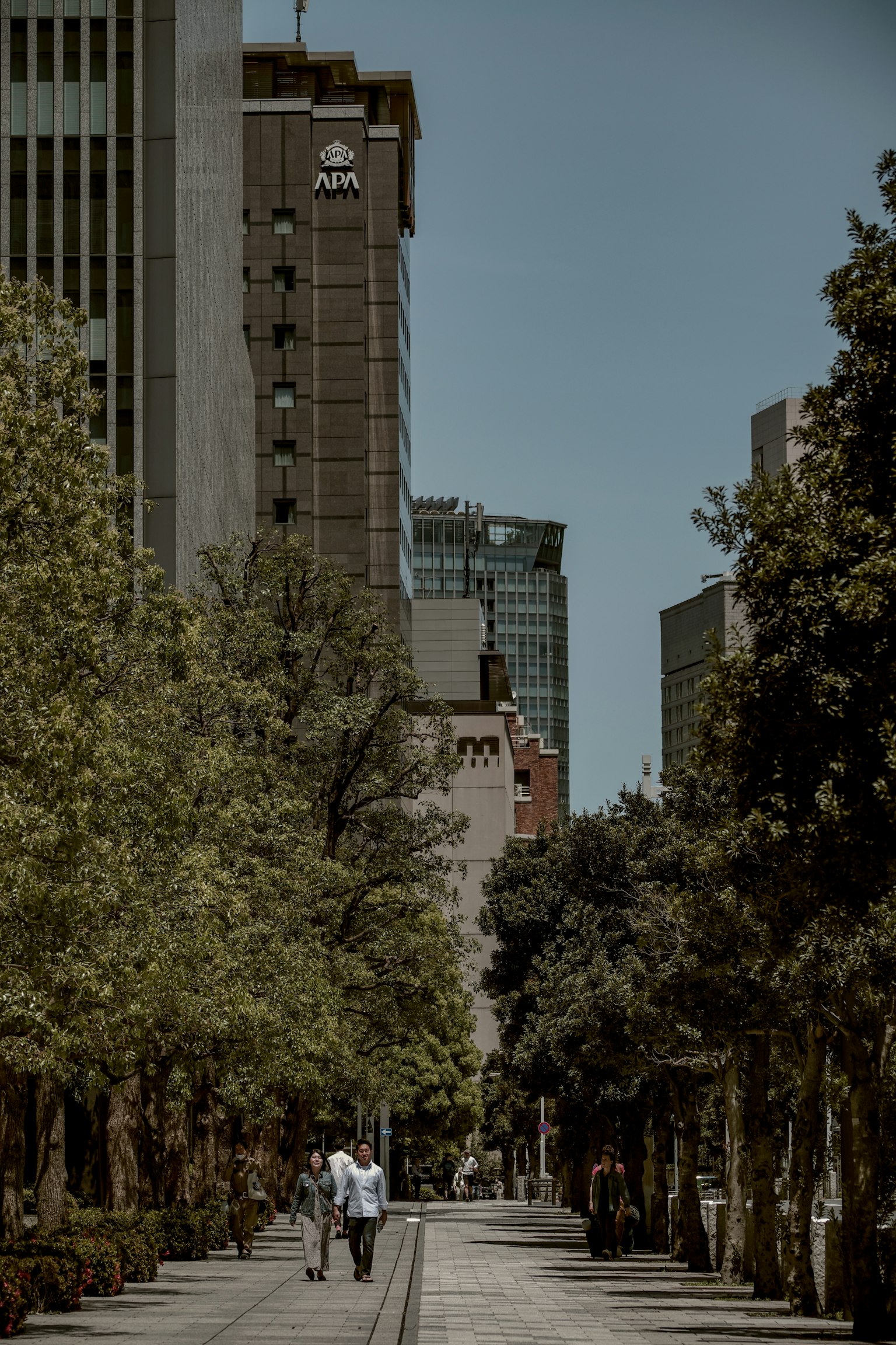 Urban street lined with tall buildings and green trees