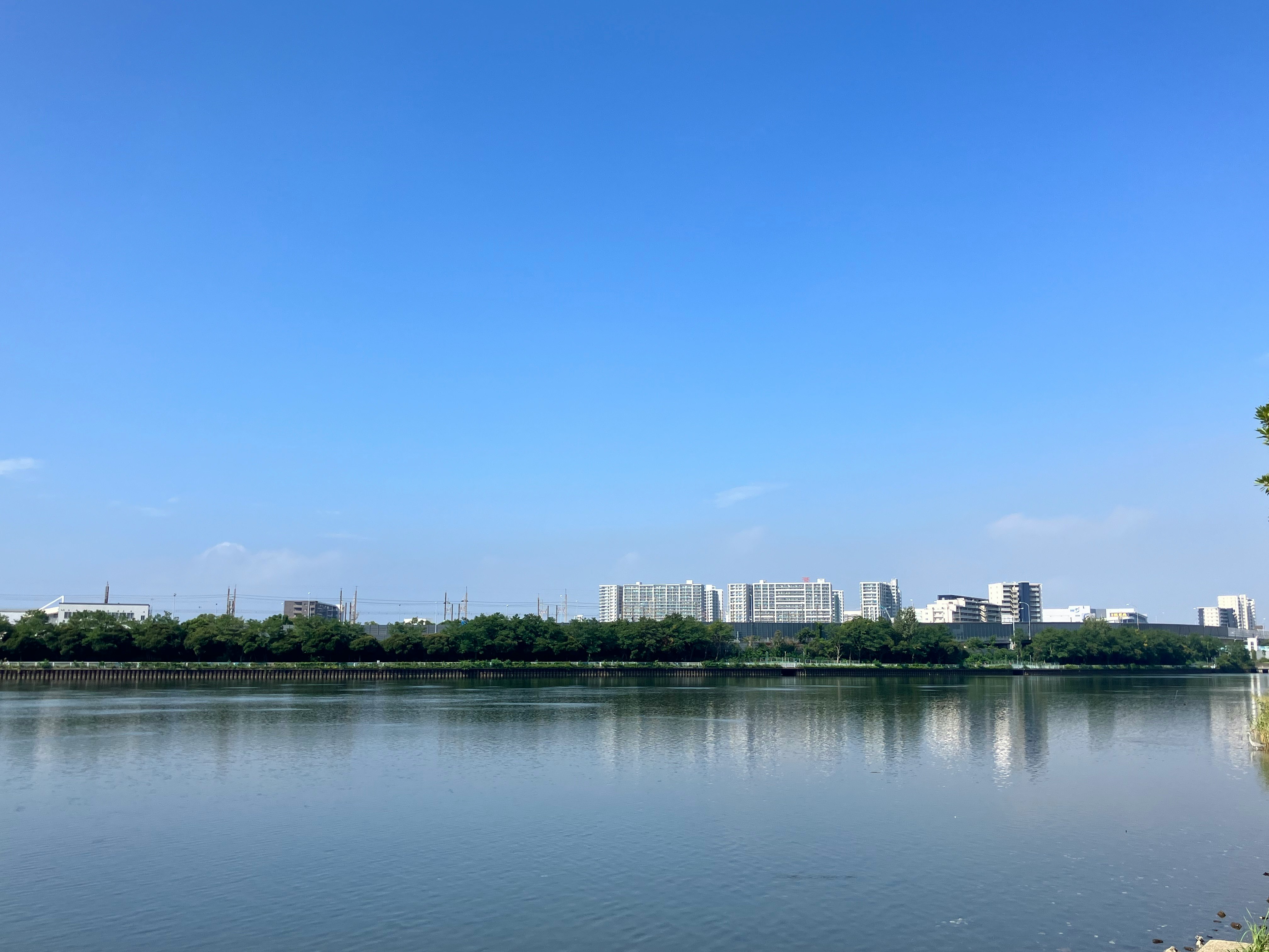 朝の干潟と青空が広がる水辺の風景