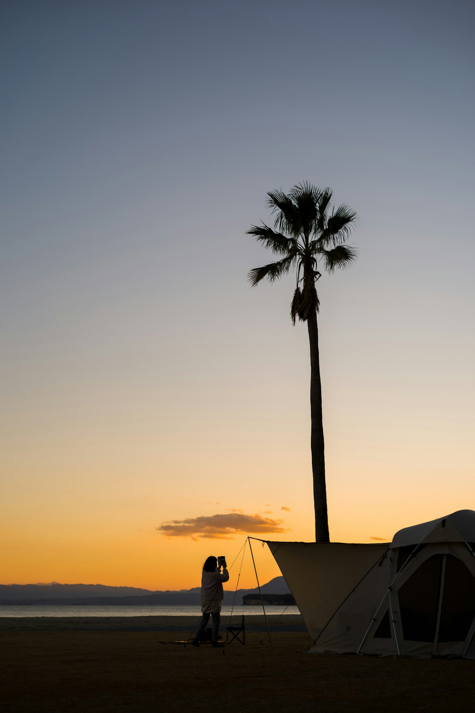 Couple embracing at sunset on the beach with a palm tree