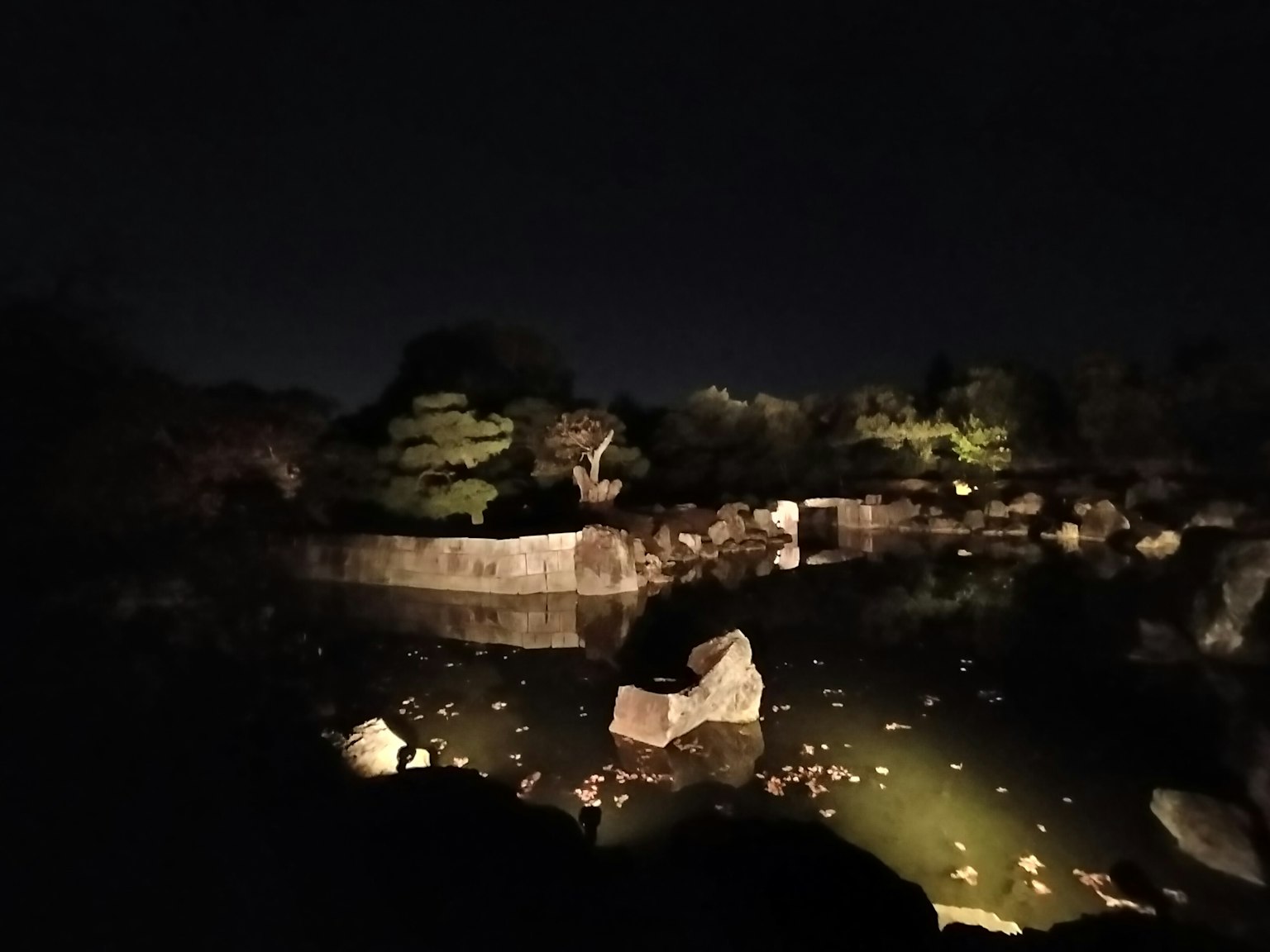 Scène nocturne d'un étang avec des rochers et des feuilles