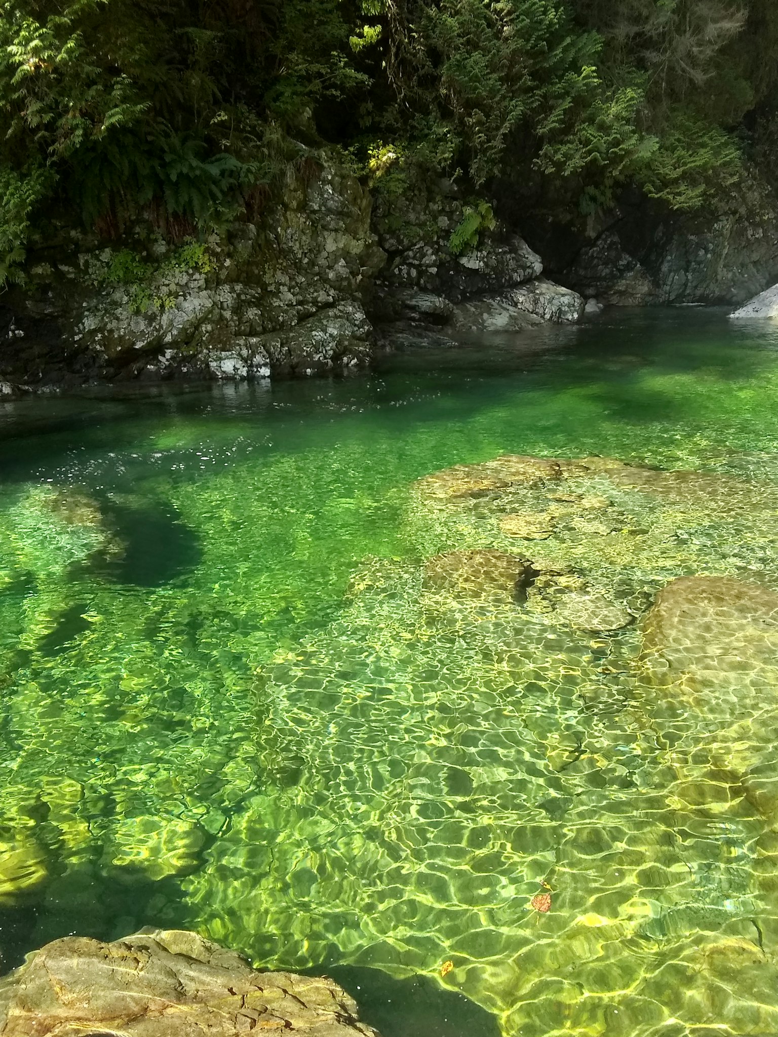 Klarer Wasserspiegel mit grünen Steinen in einem natürlichen Teich