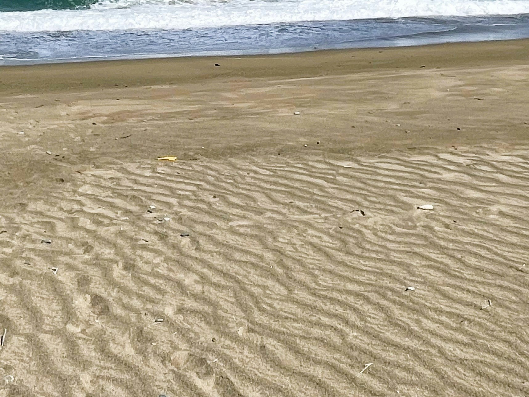 砂浜の波打ち際に広がる砂の模様