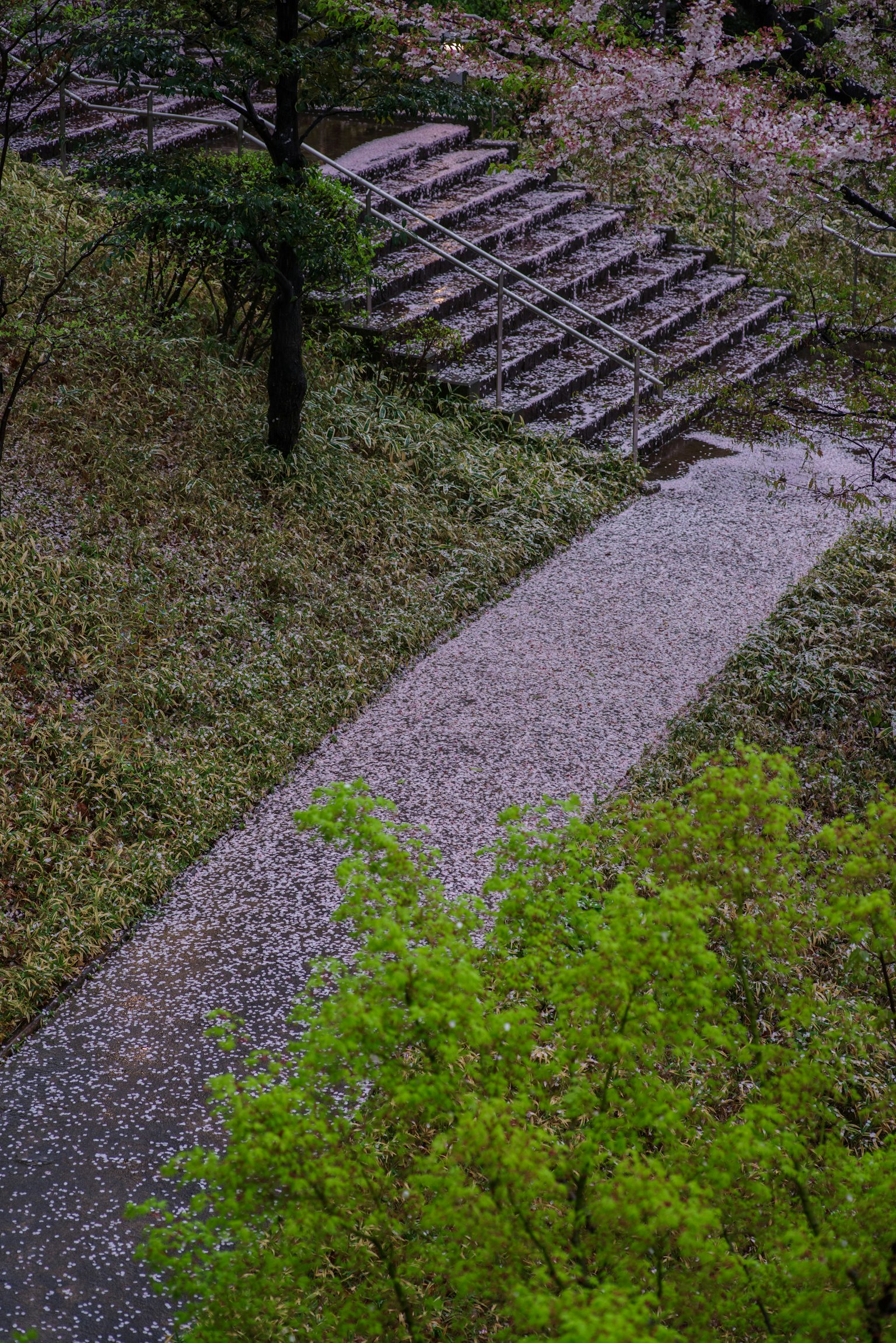 一条铺满碎石的小路穿过绿树，背景中有木制阶梯