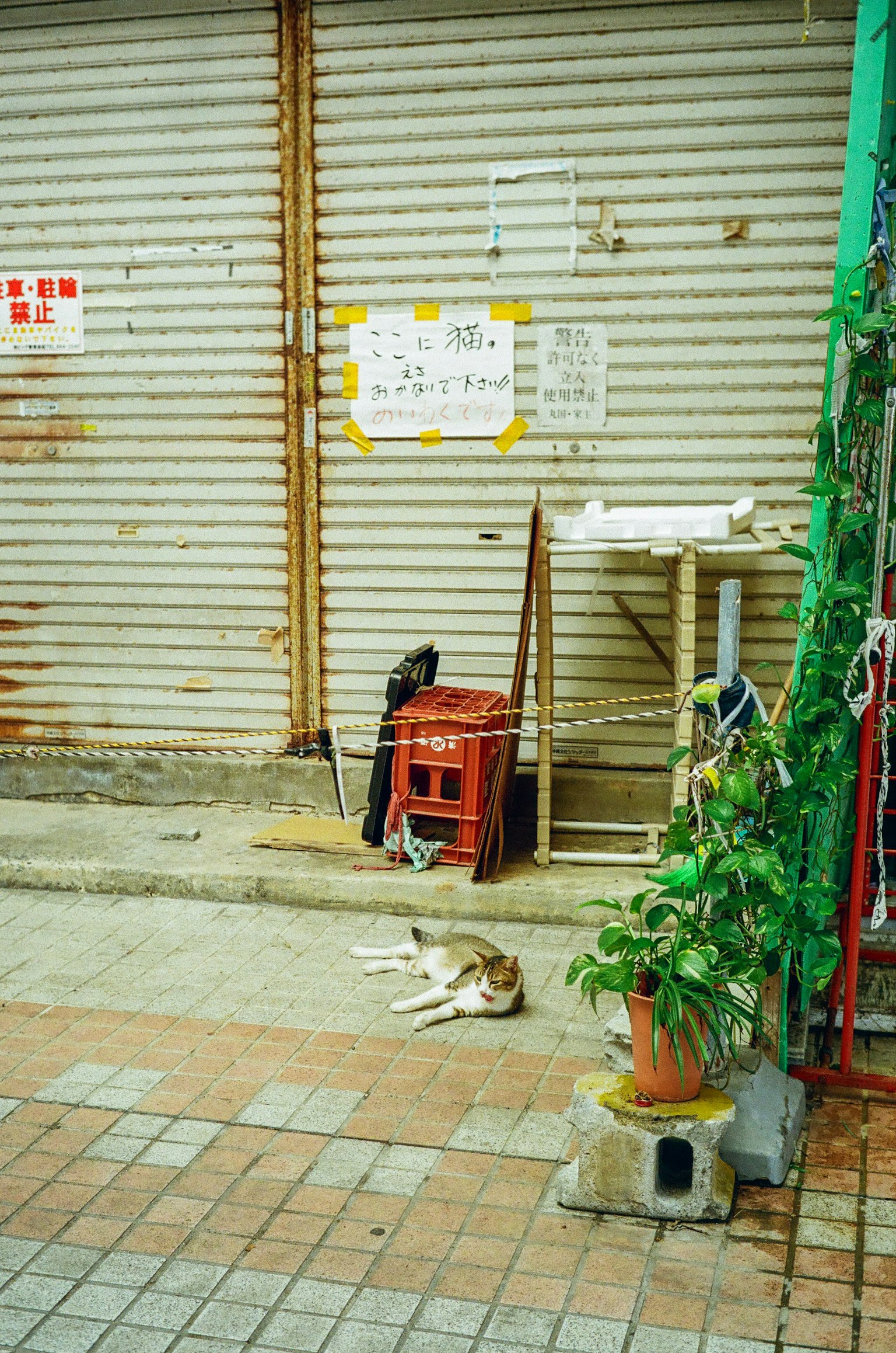 街景，前面有一只狗躺在卷帘门前，周围有物体