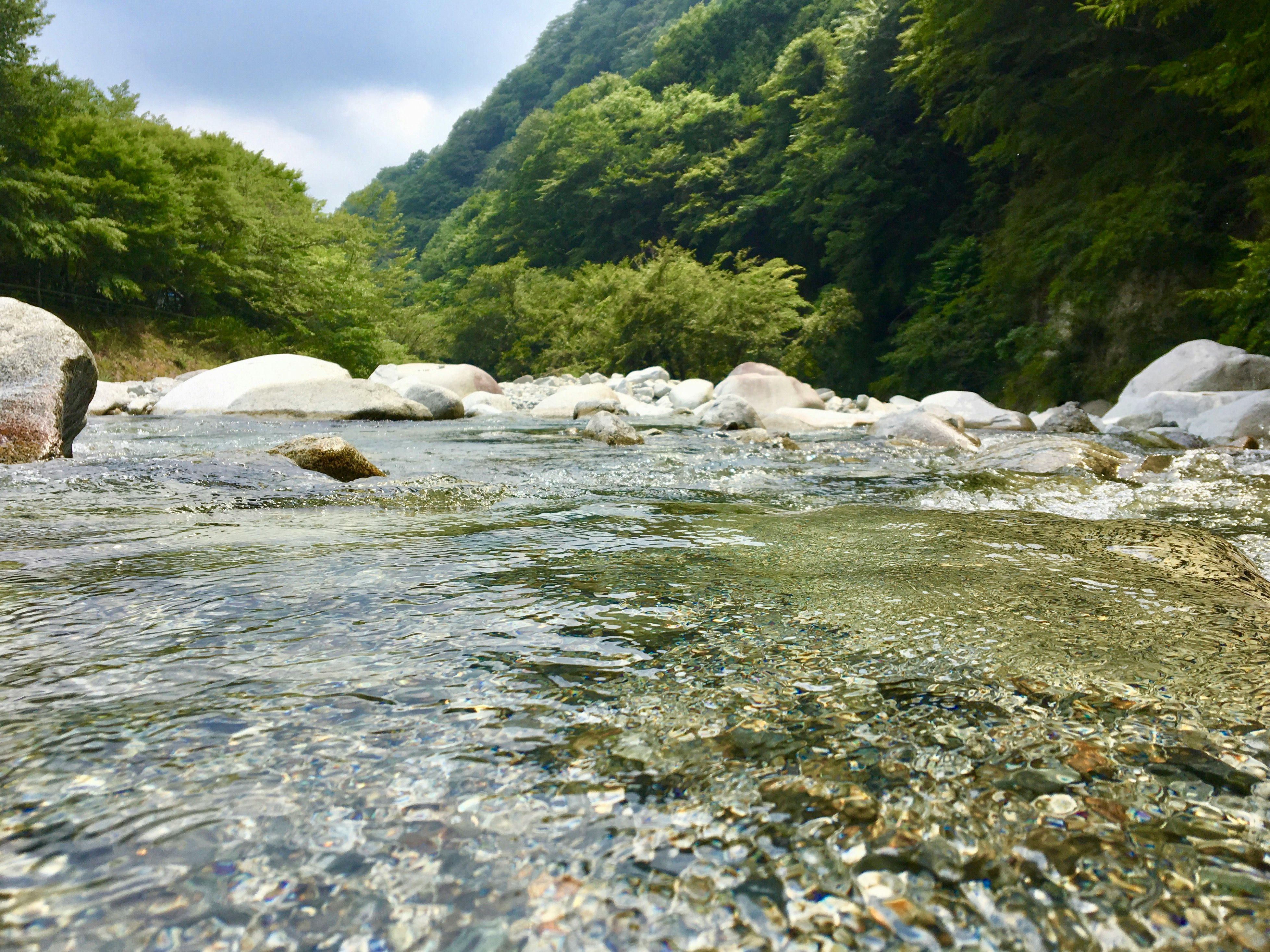 淺水河道與圓滑河石，濃綠山谷風景
