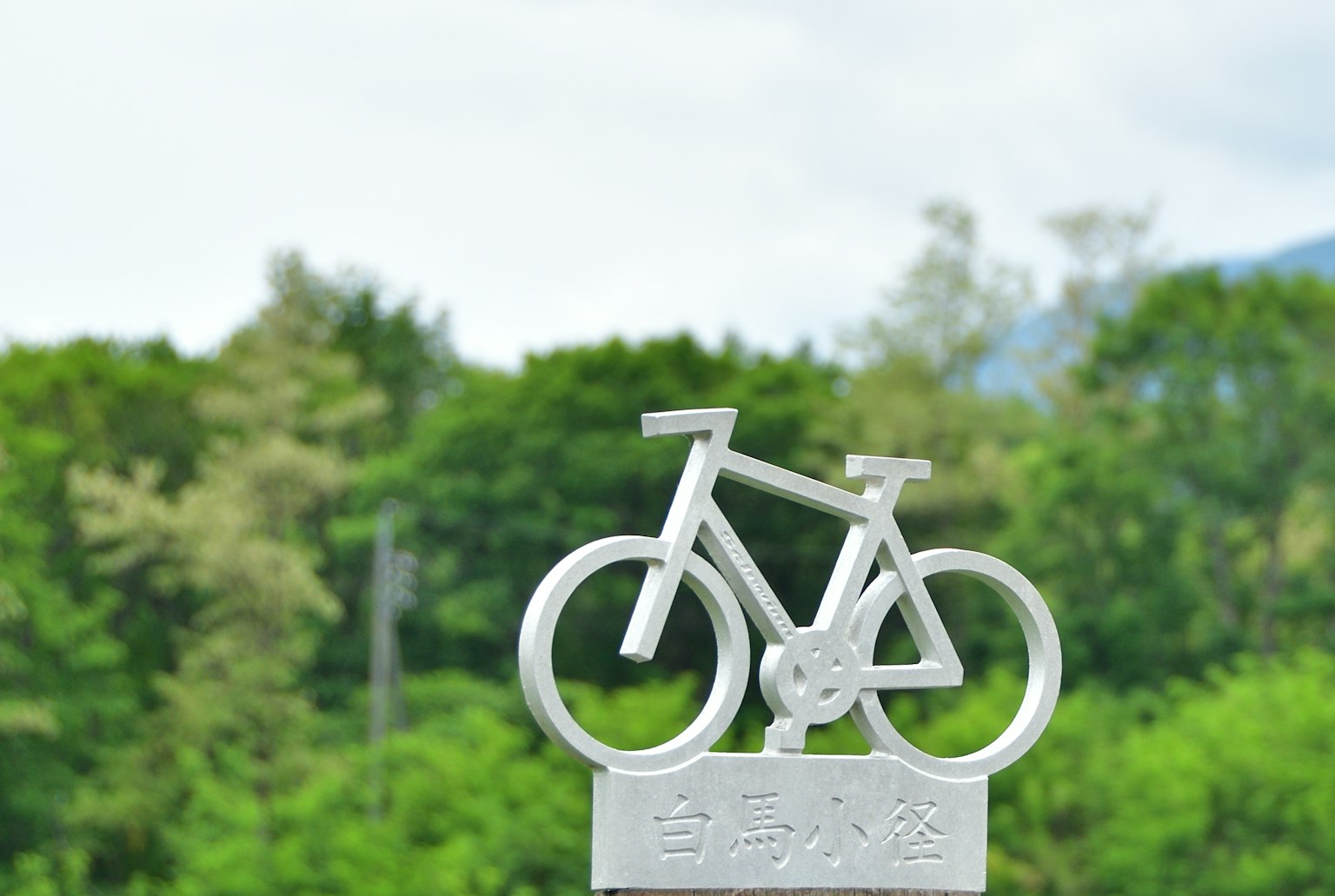 Monumento a bicicletta su sfondo verde