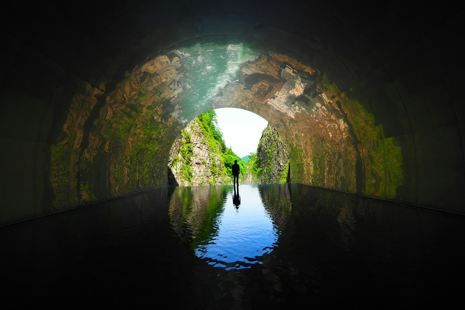 Vue de l'intérieur d'un tunnel avec réflexion sur l'eau et verdure