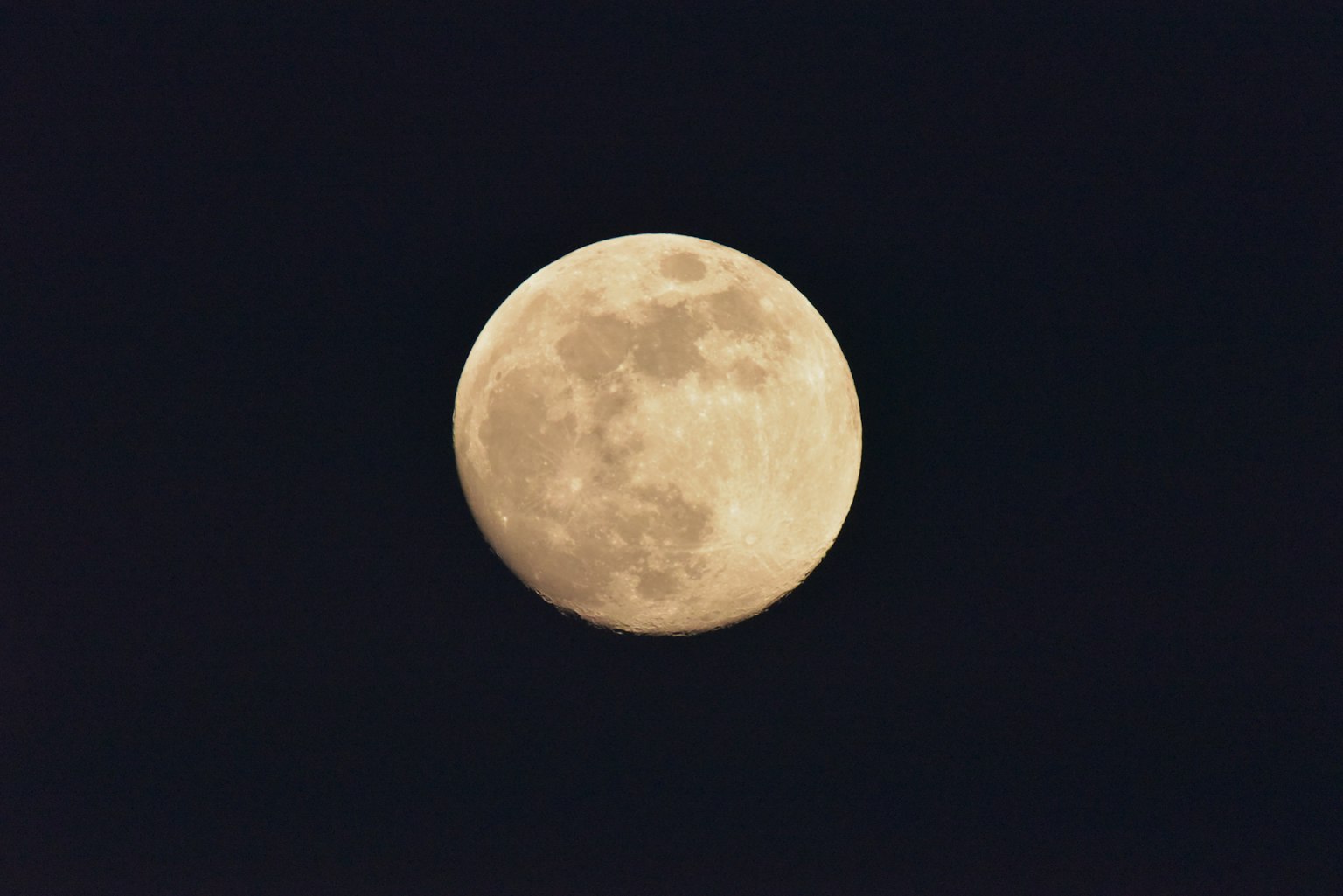 Una gran luna llena flotando en el cielo nocturno