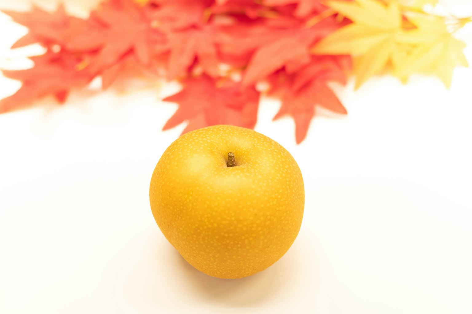 Pomme jaune avec un fond de feuilles rouges
