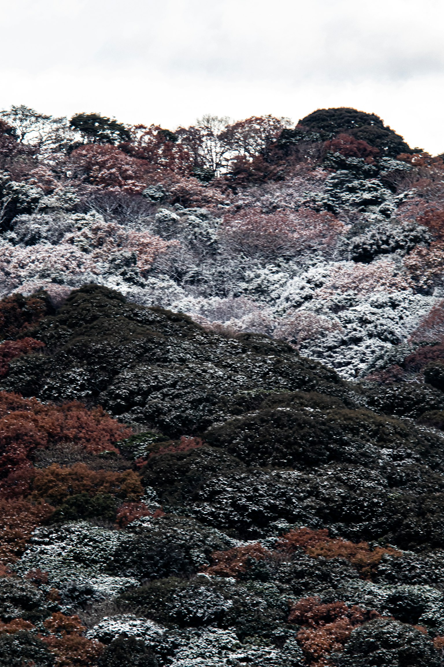 Paysage de montagnes rocheuses avec diverses couleurs