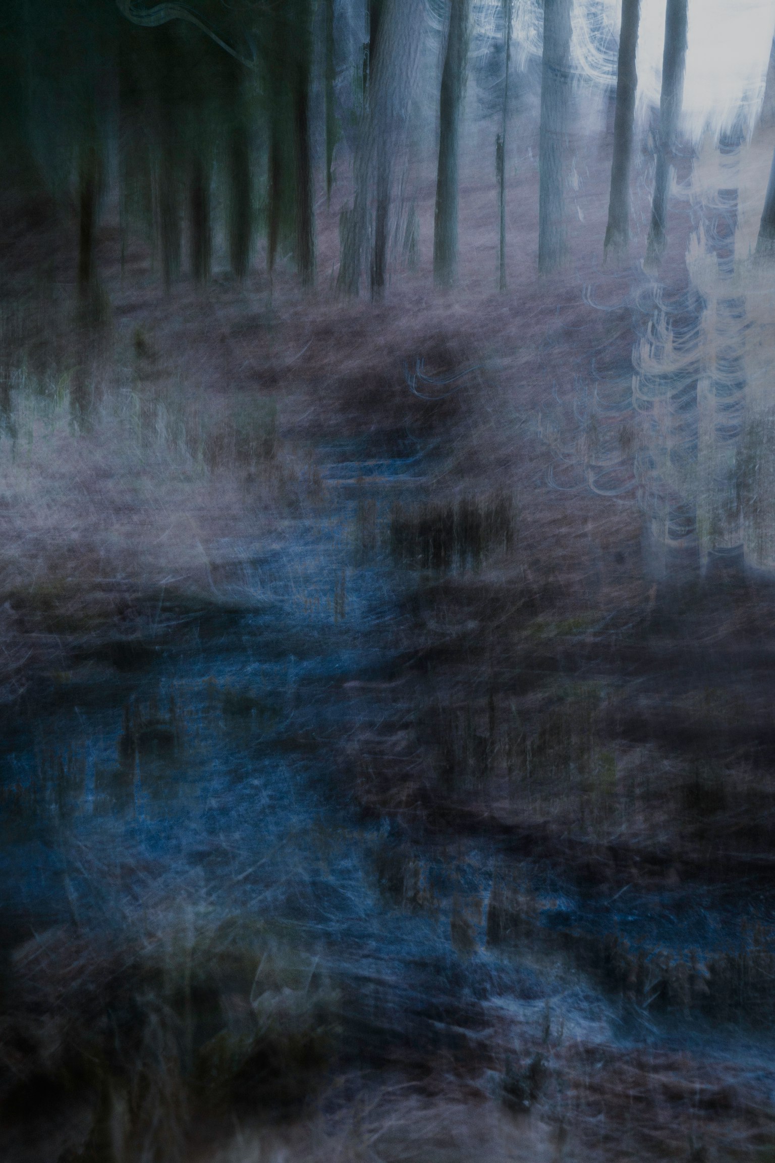 Misty forest landscape with a blue stream and soft colors