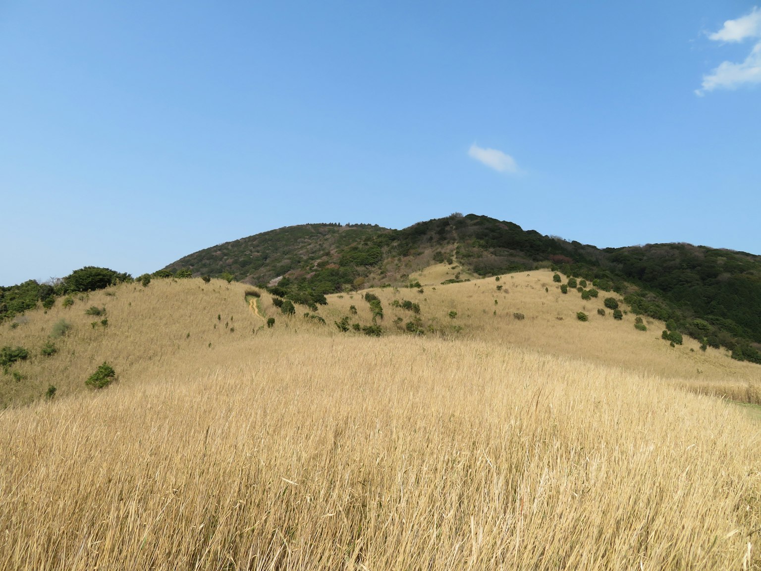 Sanfte Hügel und trockenes Grasland unter blauem Himmel