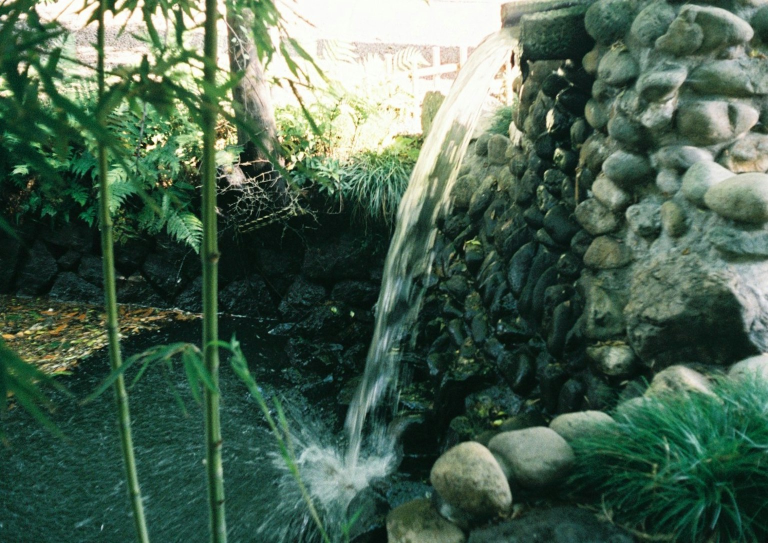 Acqua che scorre da una cascata di pietra circondata da verde lussureggiante e bambù