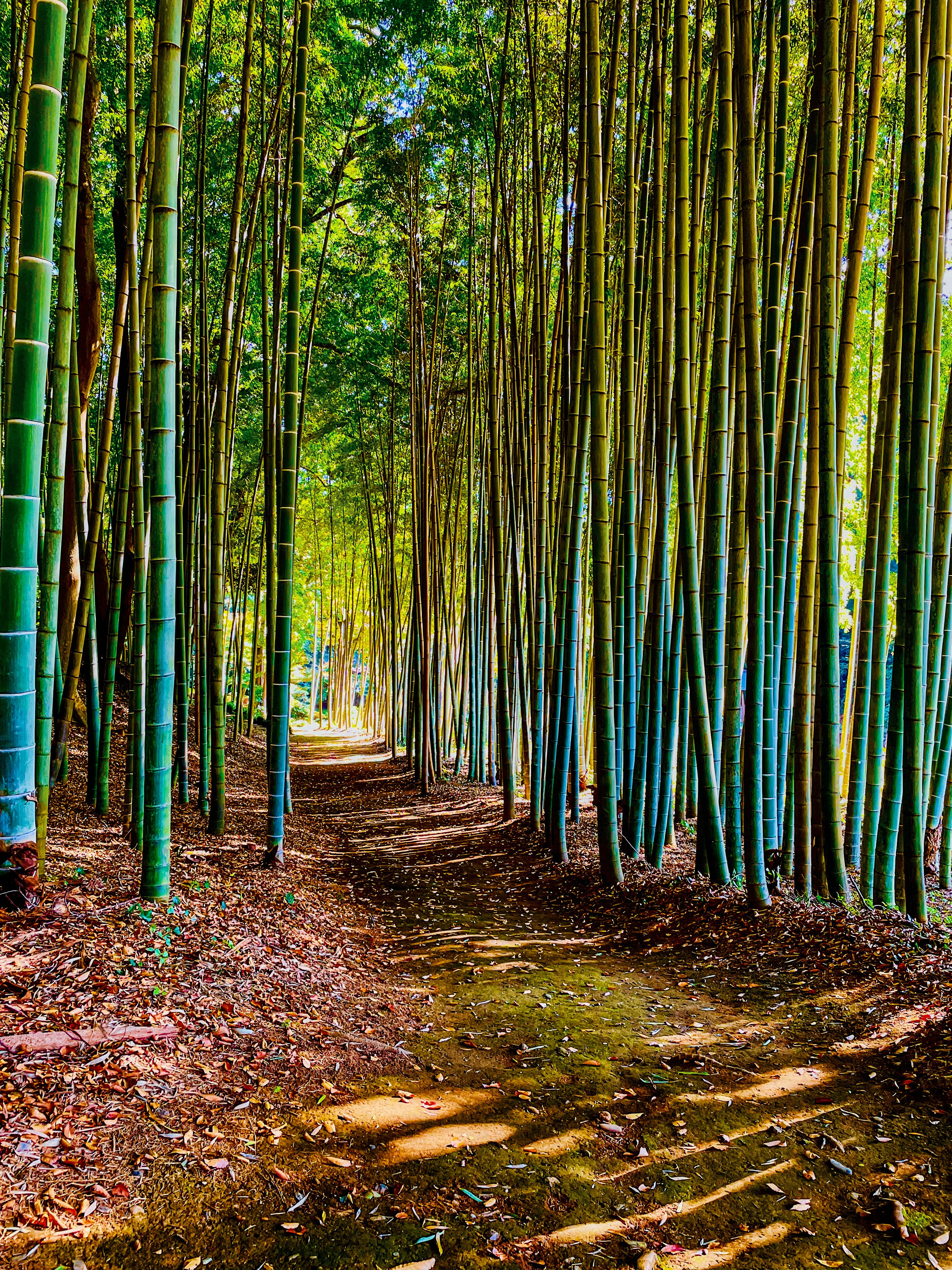 photo-XTr0UY3jV2c18ygFFlRg-image