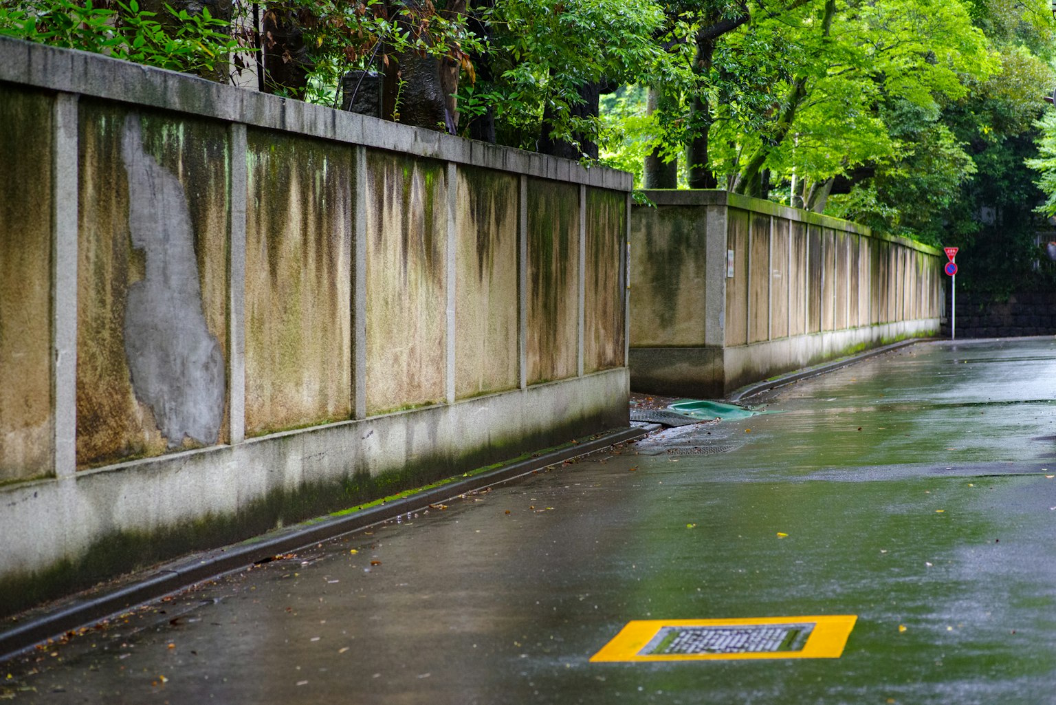 Muro di cemento bagnato con alberi verdi lungo una strada piovosa