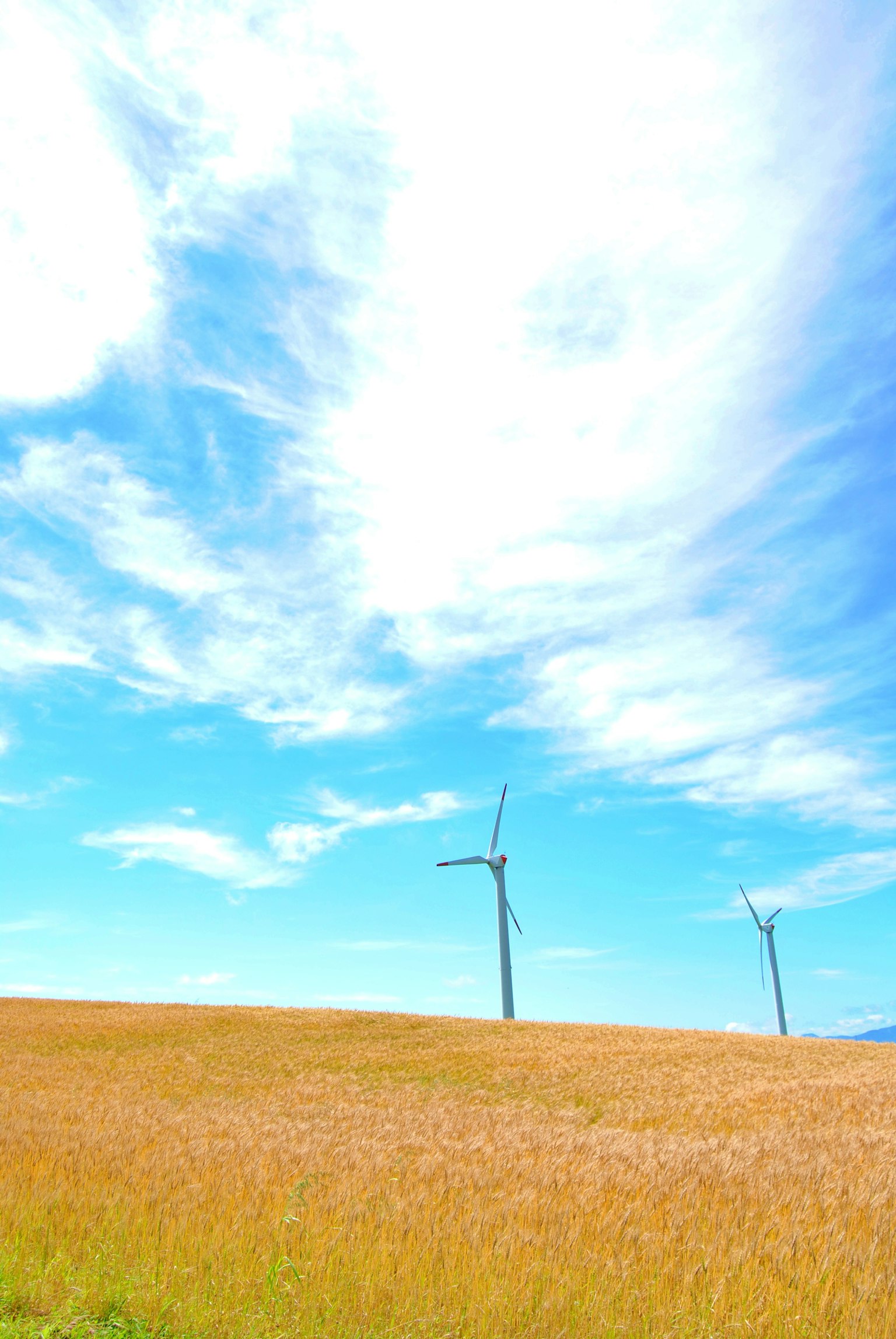 Ruhige Landschaft mit Windkraftanlagen unter blauem Himmel