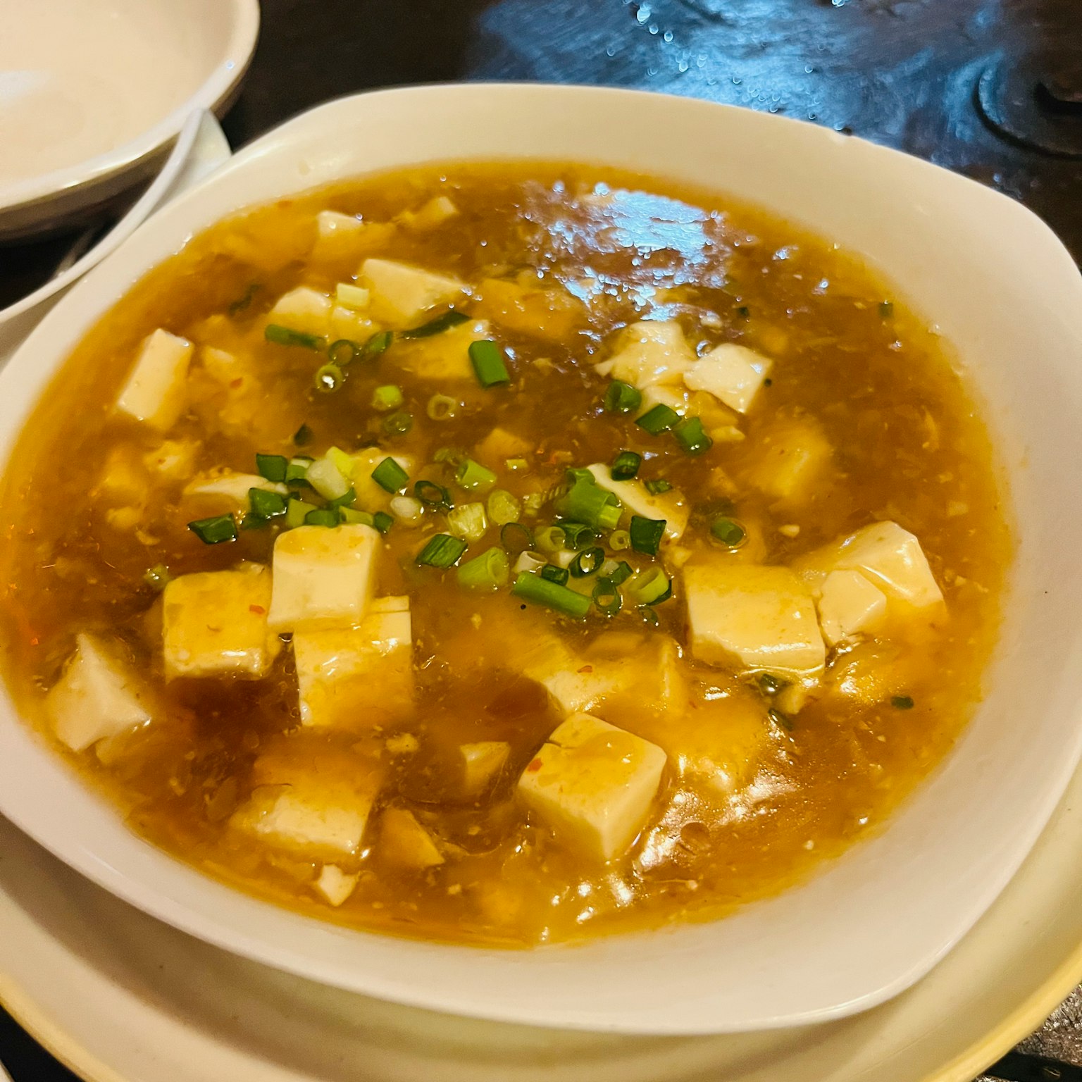 豆腐和蔥的湯