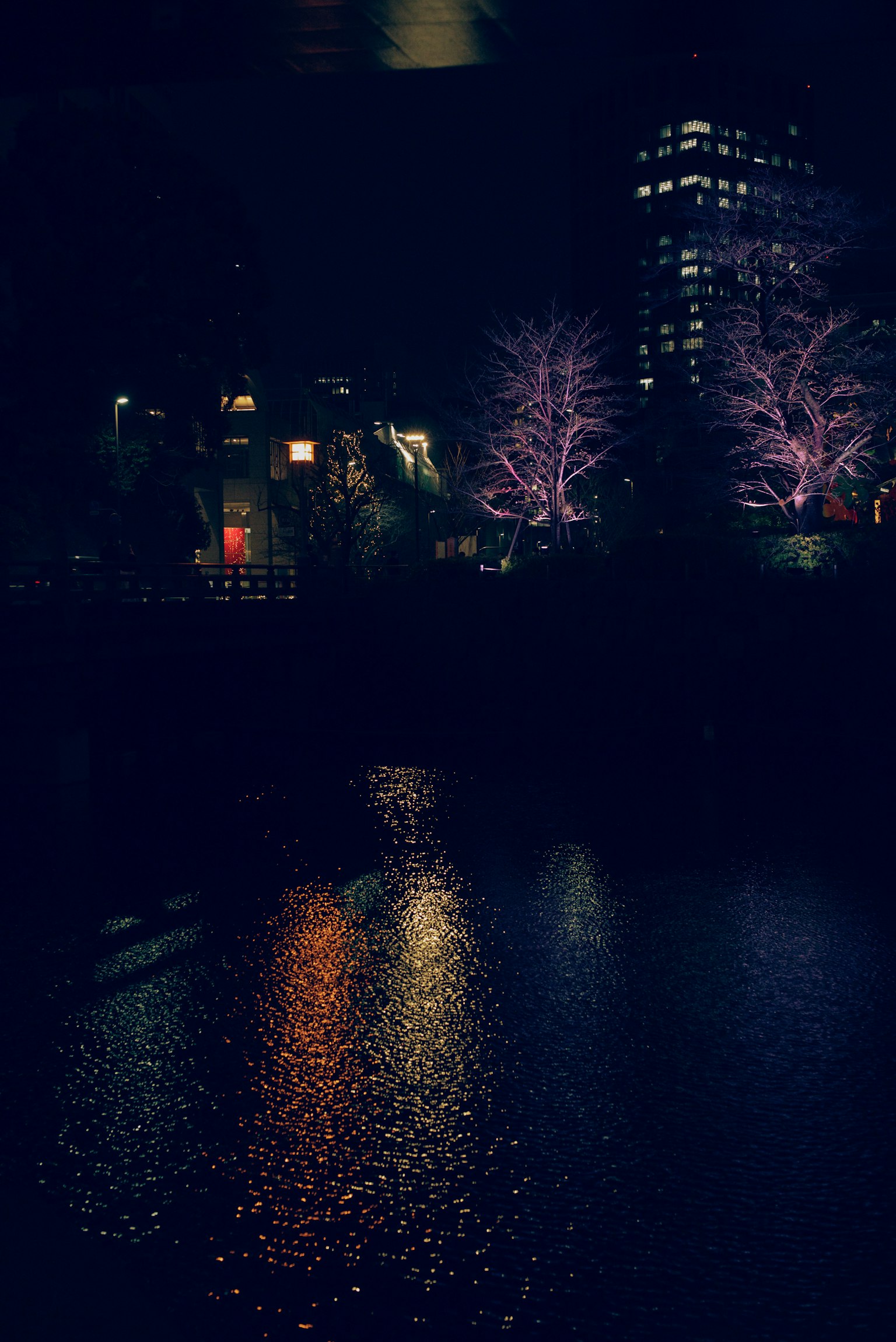 Pemandangan malam dengan pohon yang diterangi dan pantulan di air