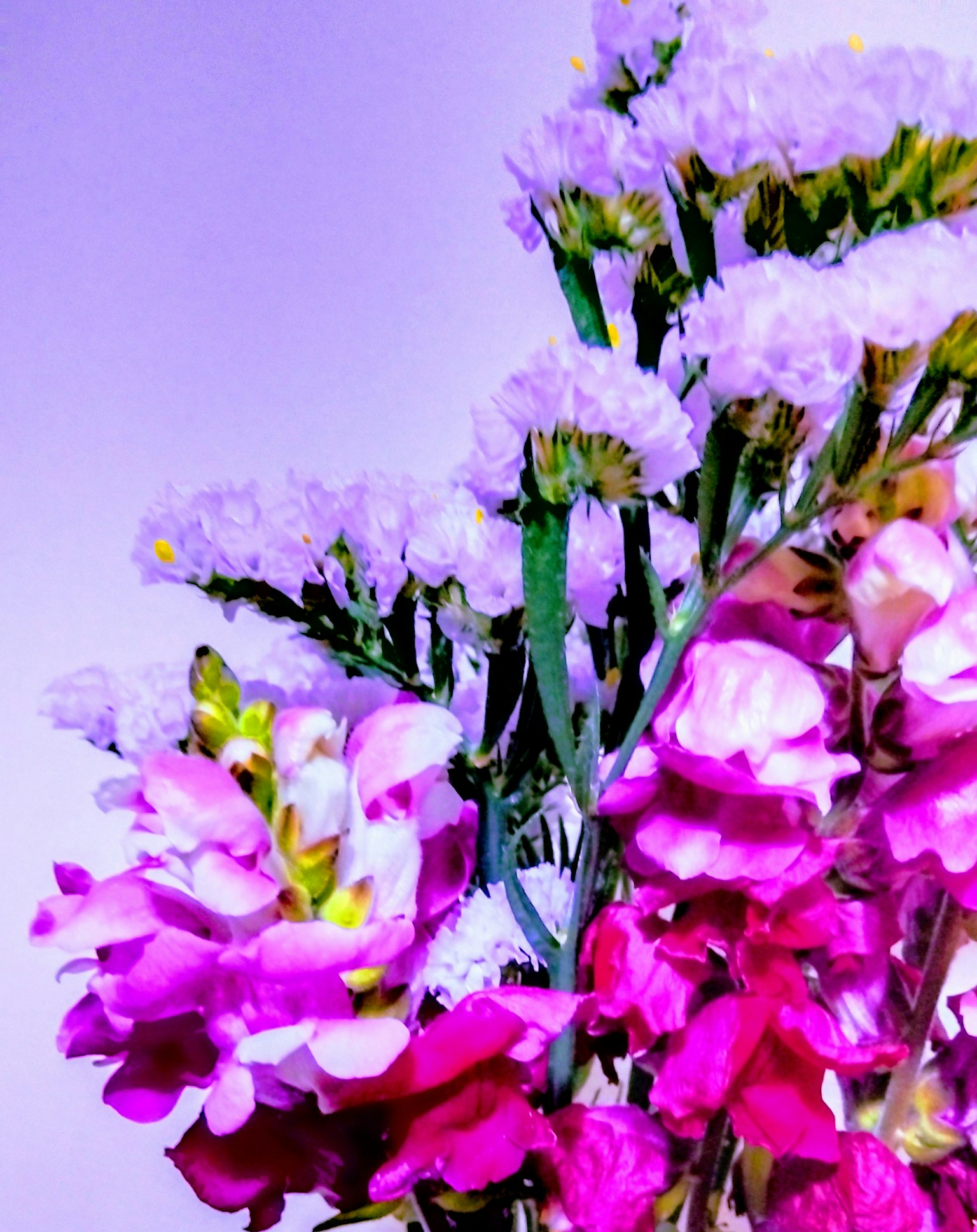 photo-XW0SprX2aw0ZNWhbBjBF-image