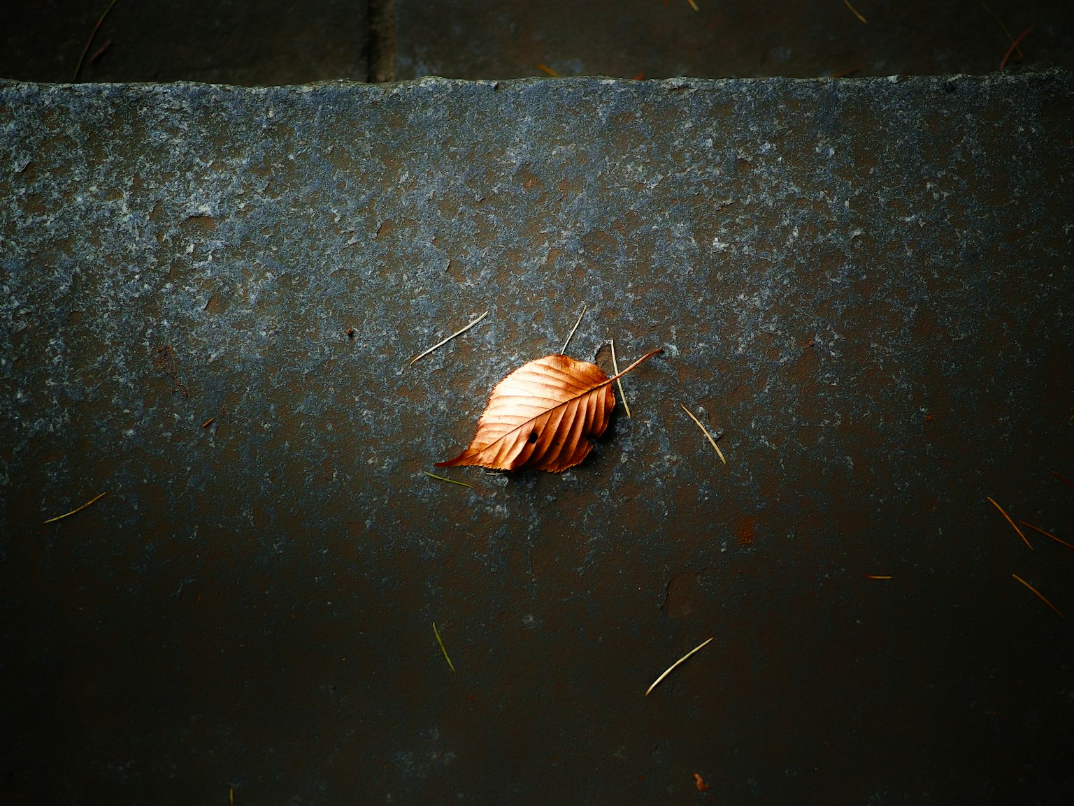 photo-XWH55ChIm4rtLX46ydRW-image
