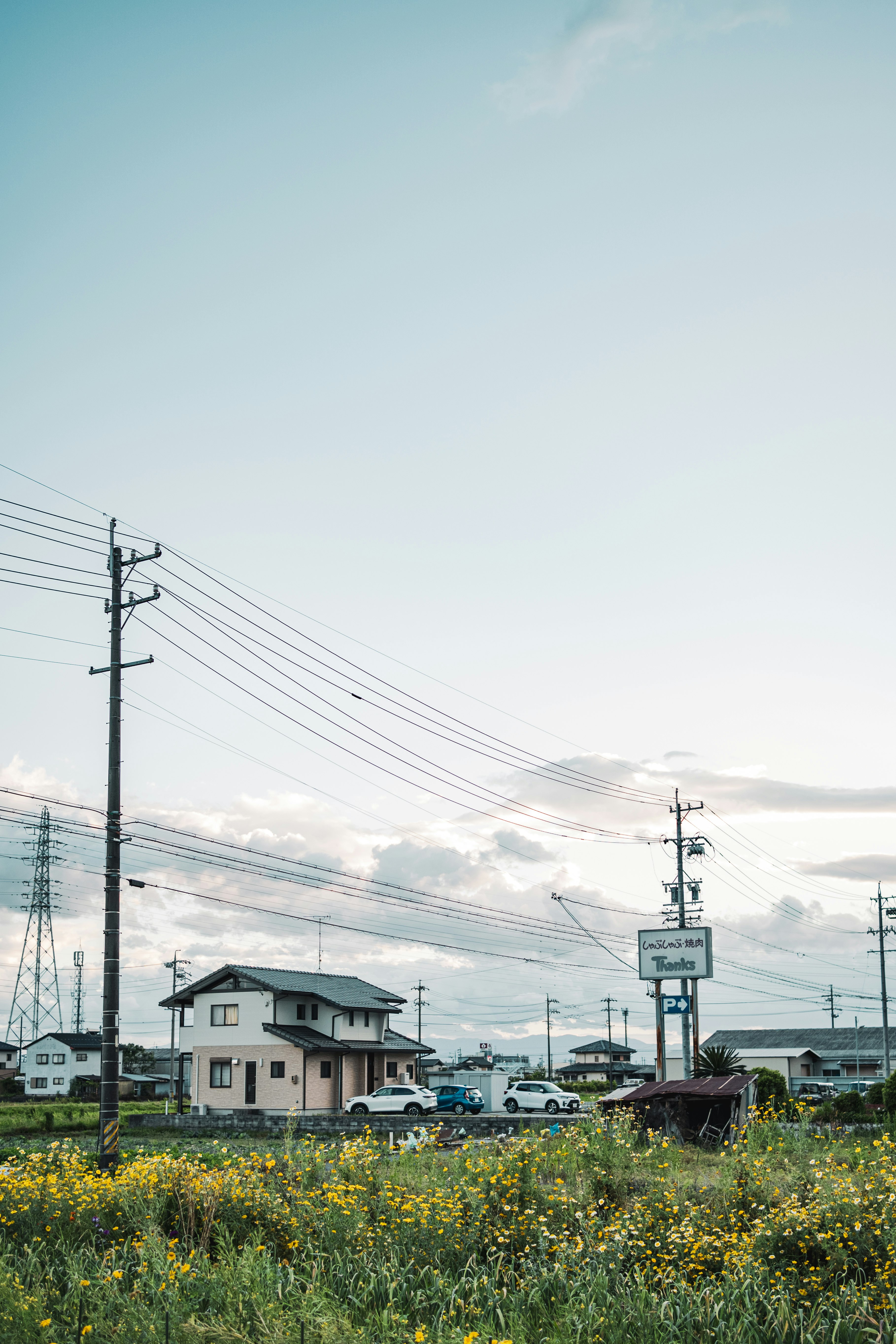 cielo suburbano al crepuscolo con linee elettriche e tetti