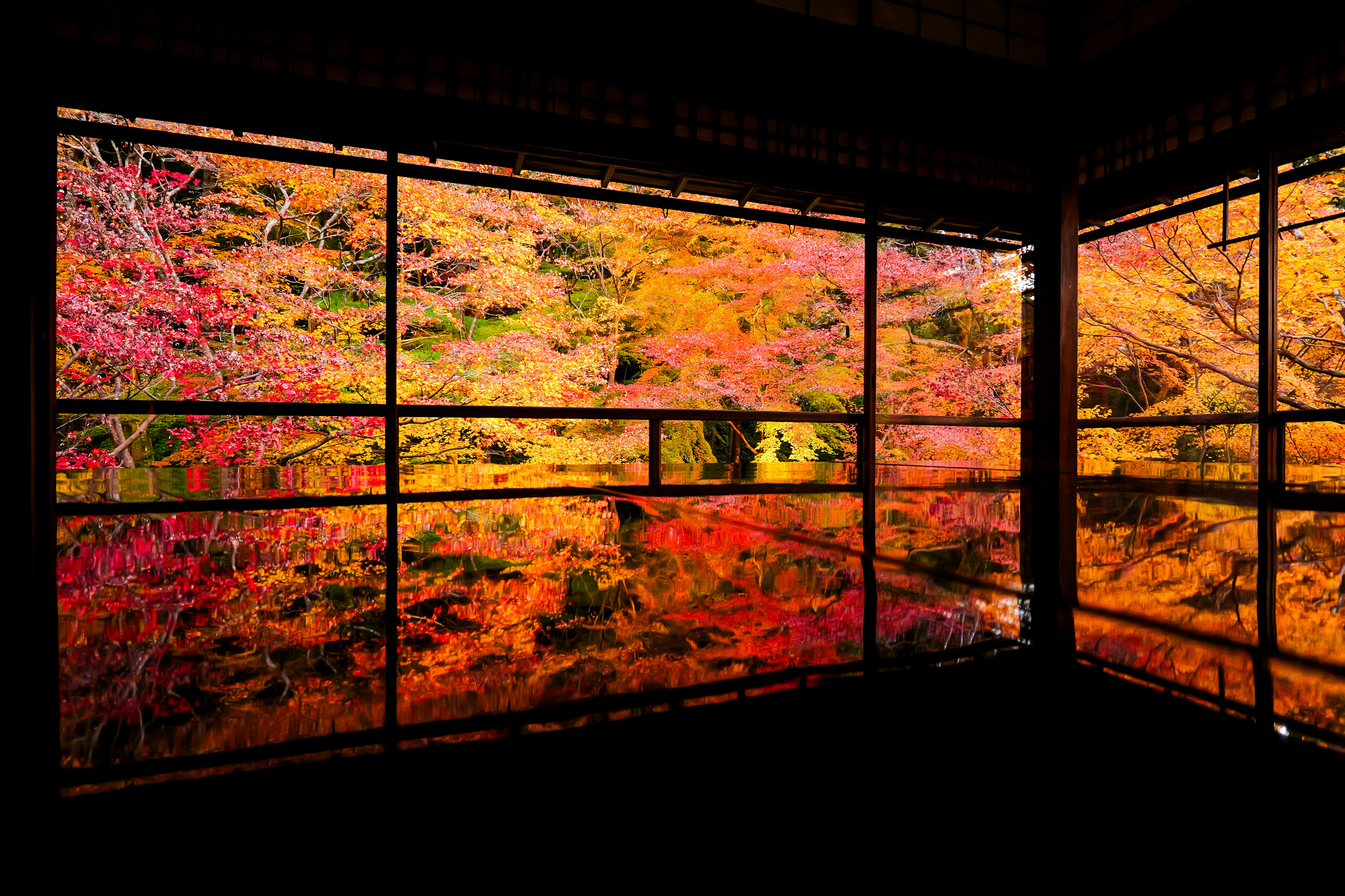 瑠璃光院の紅葉が窓越しに広がる景色