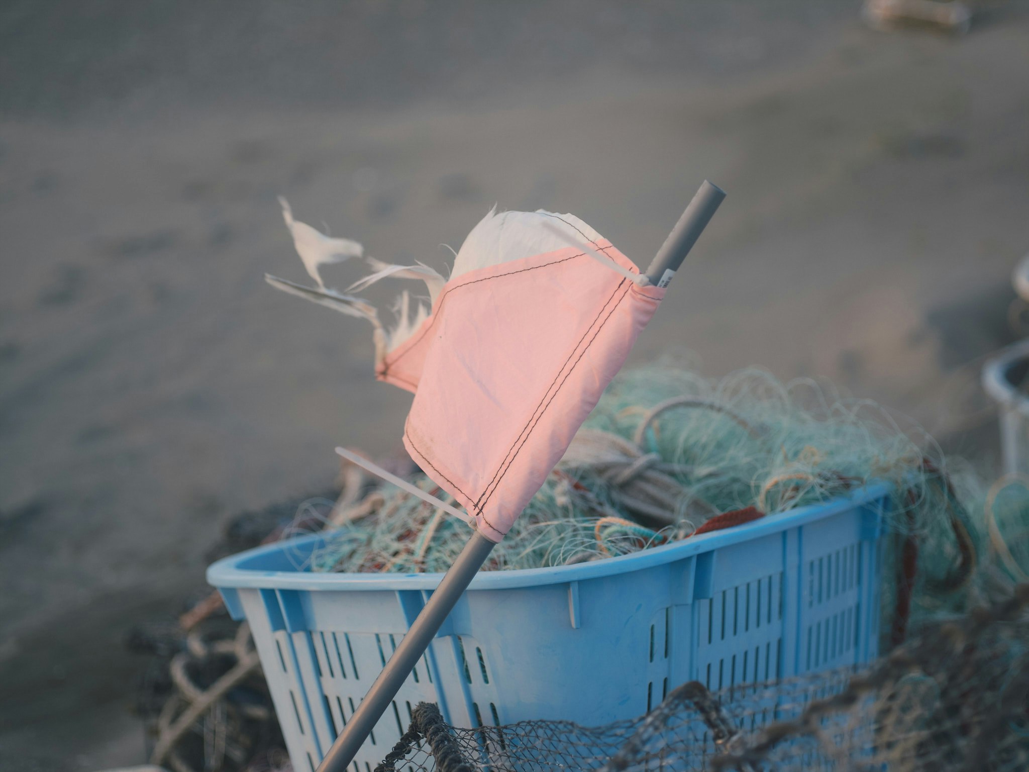 川辺に置かれた青いかごとピンクの釣り具