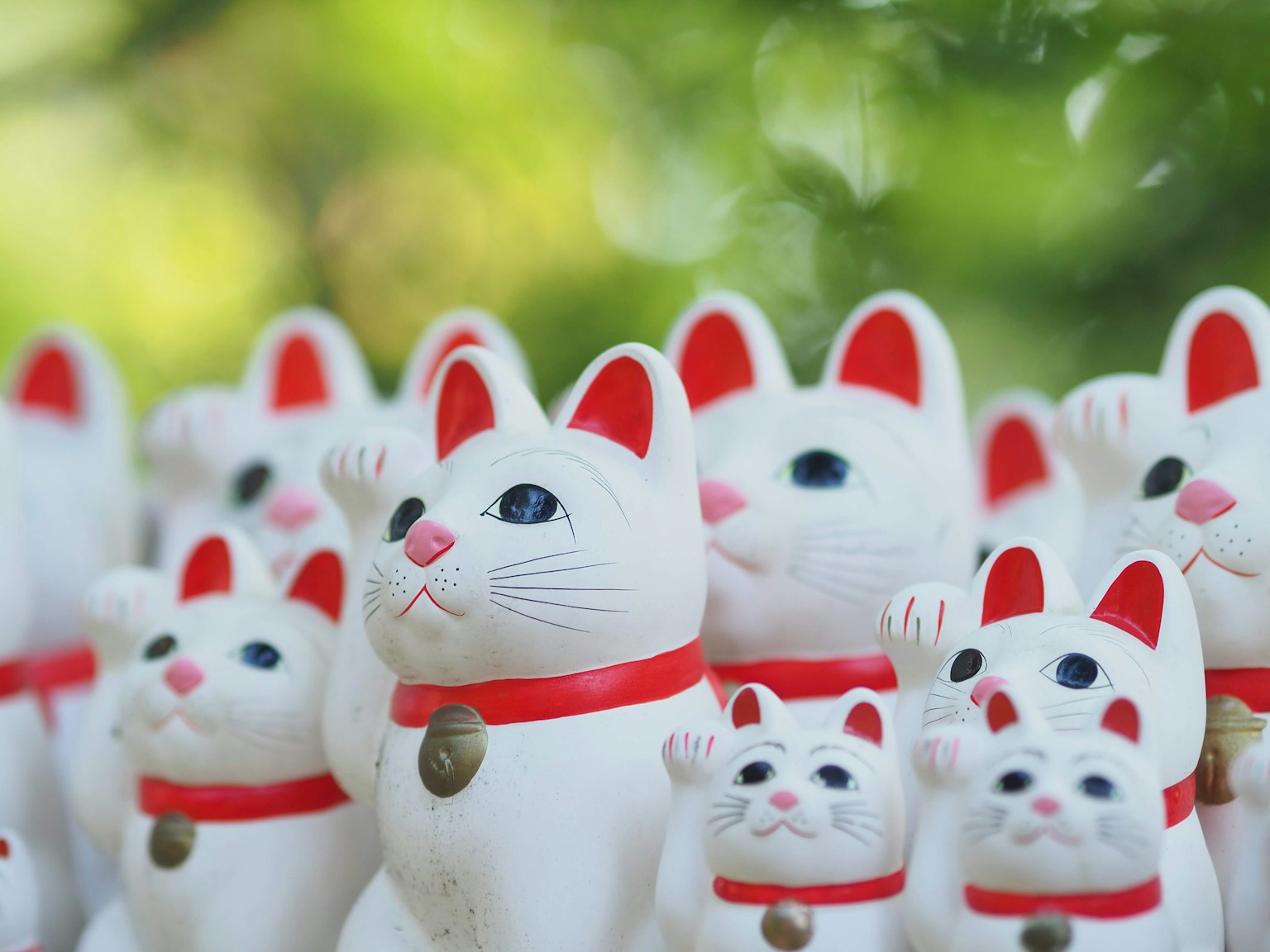 Sekelompok kucing keberuntungan putih dengan pita merah