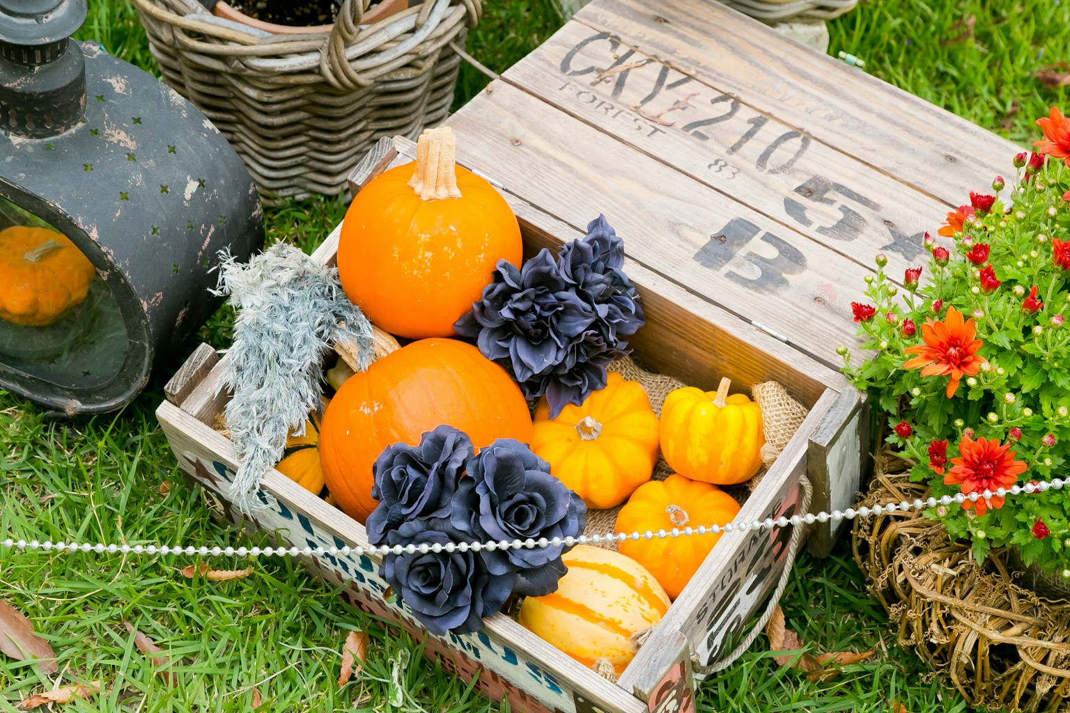 Sebuah keranjang penuh dengan labu oranye dan labu kuning kecil dikelilingi oleh bunga