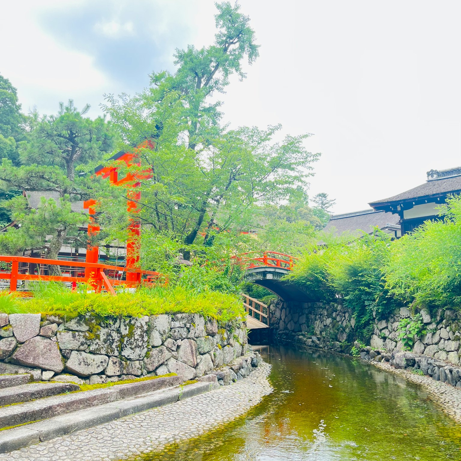 寧靜的河流場景，紅色橋樑被郁鬱蔥蔥的綠色和石堤包圍