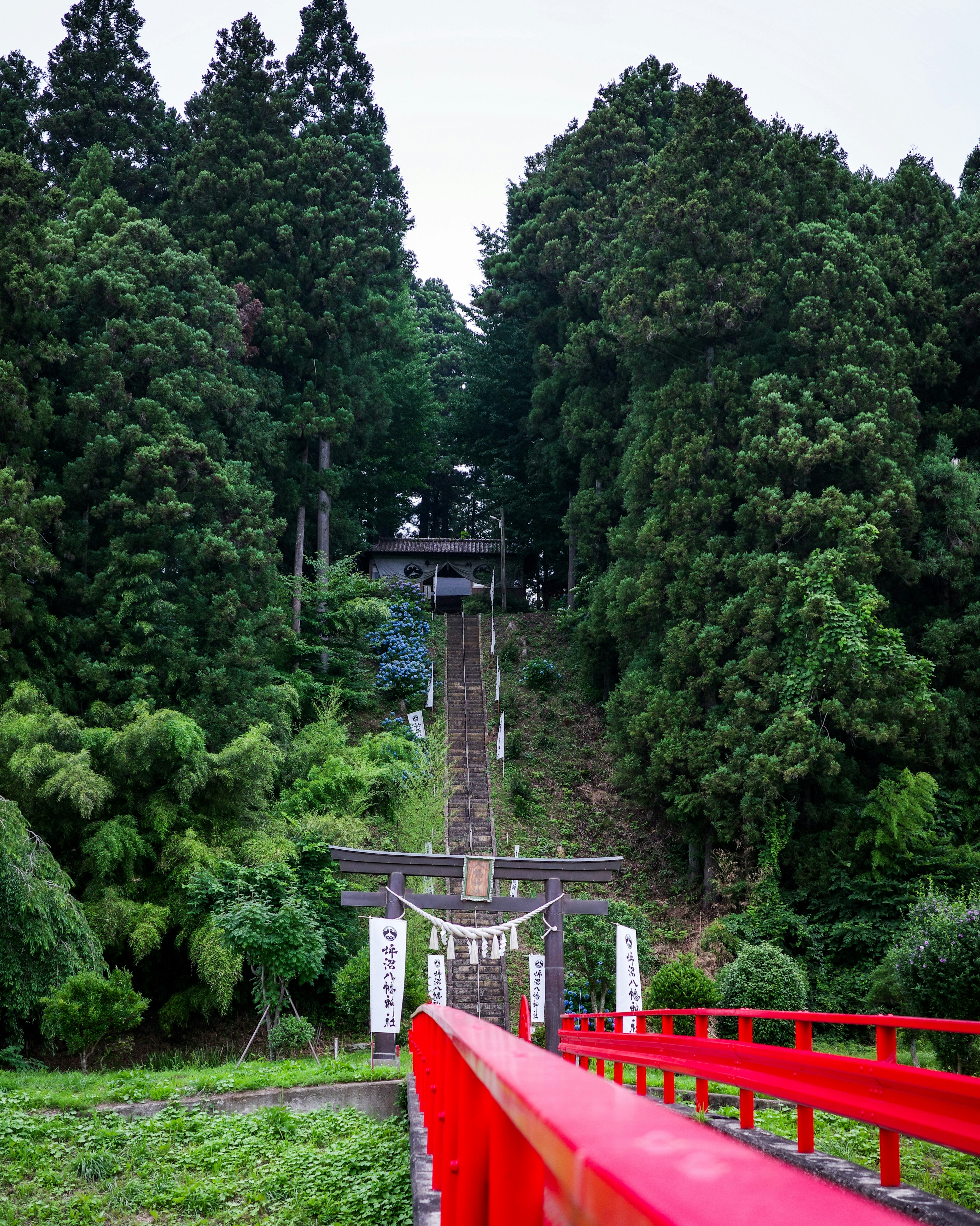 緑の森に囲まれた赤い欄干の小道と鳥居