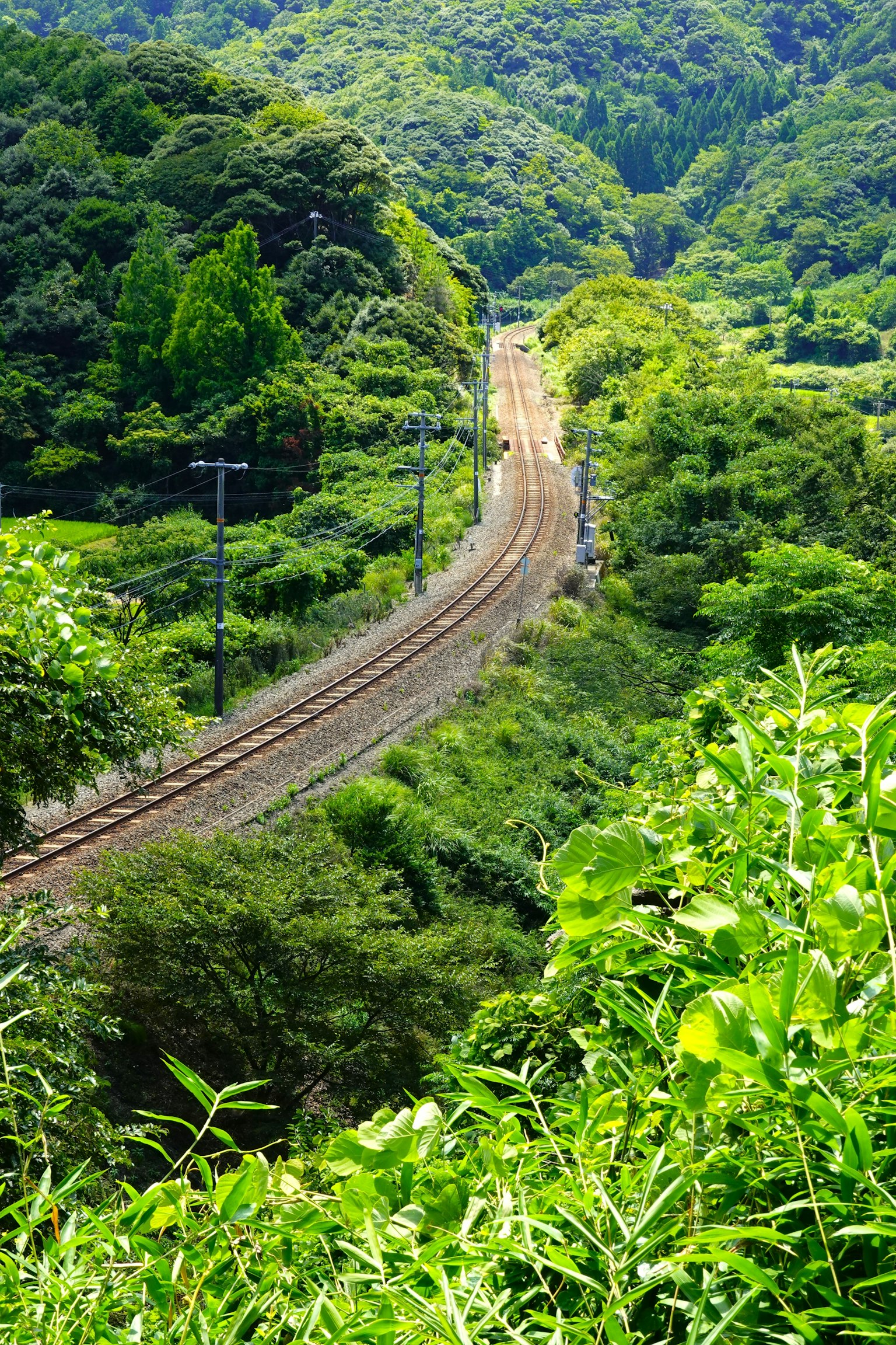 Curved railway track surrounded by lush greenery