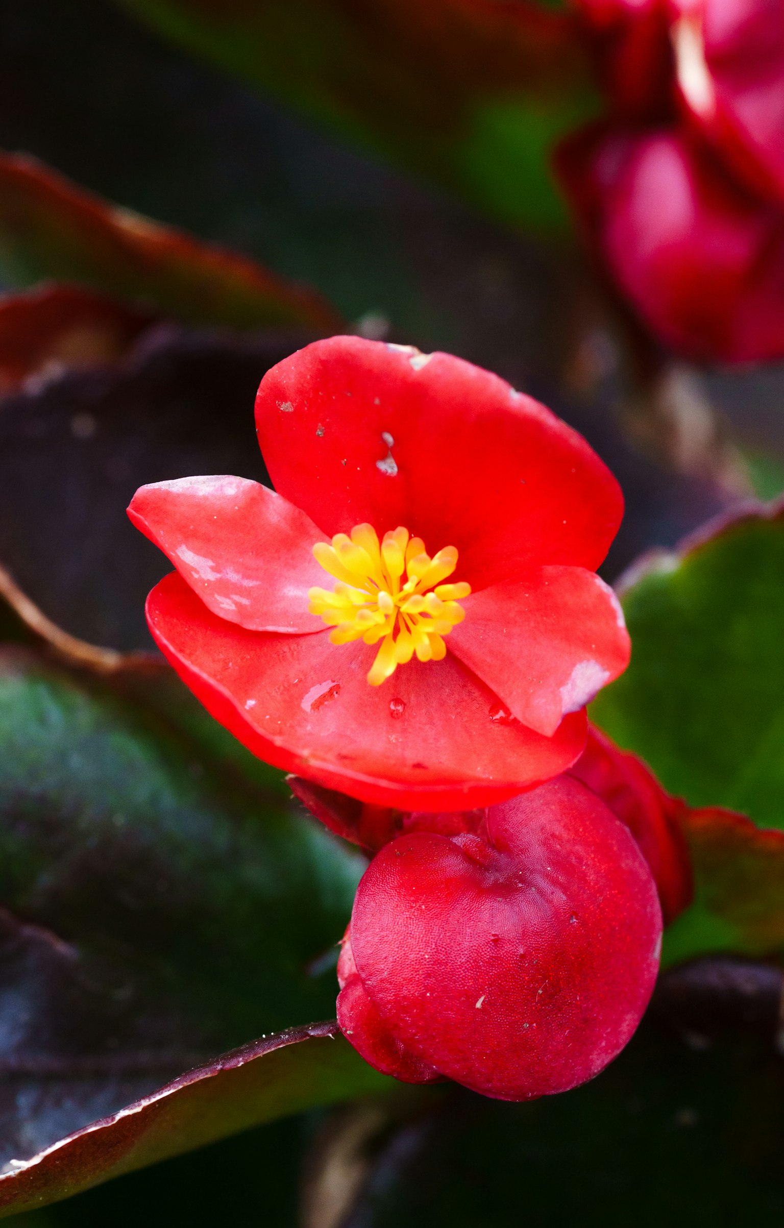 photo-XXa3vWr6hxydDQcc3JLl-image