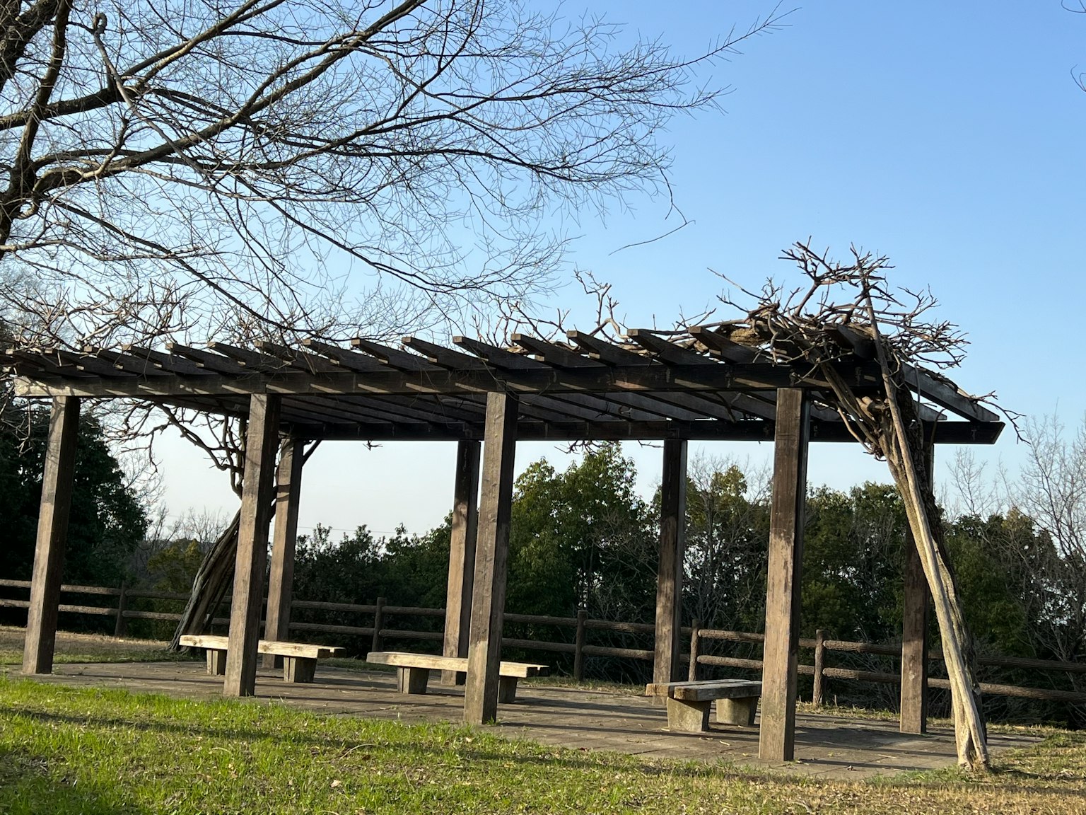 Pergola en bois dans un parc entouré de nature