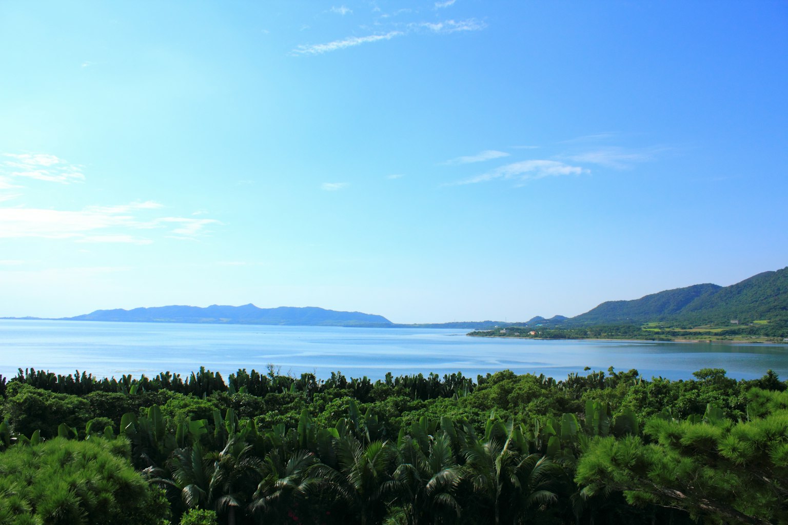 Vista panoramica di vegetazione lussureggiante che circonda cielo blu e oceano
