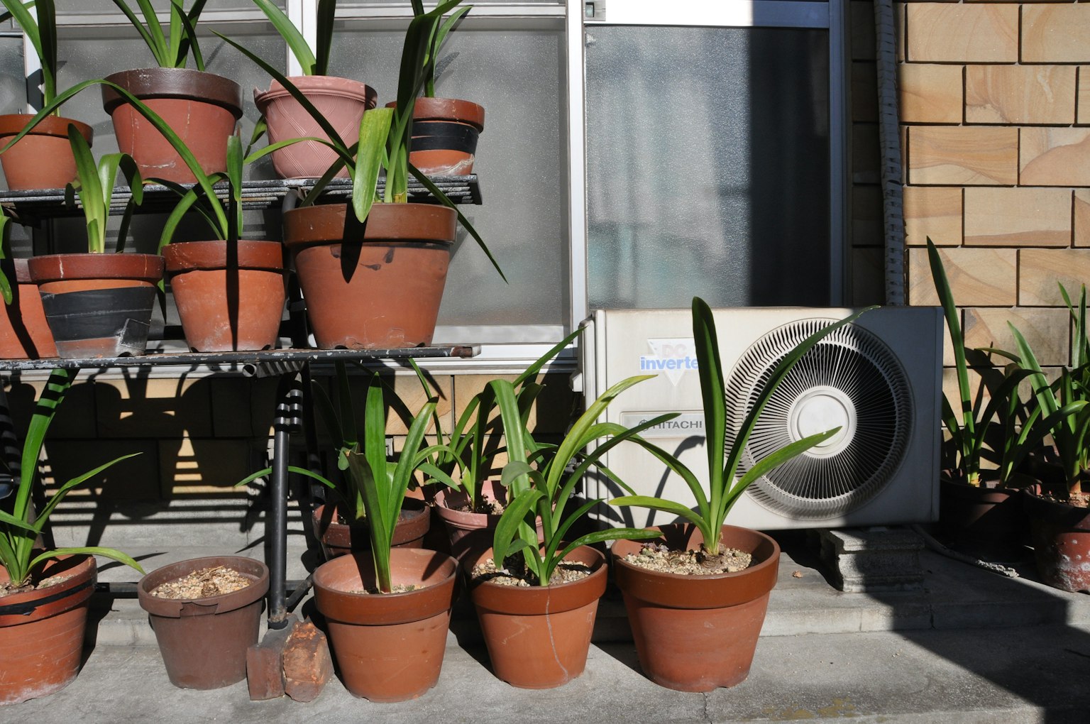 Une scène de balcon avec de nombreuses plantes en pot et une unité de climatisation