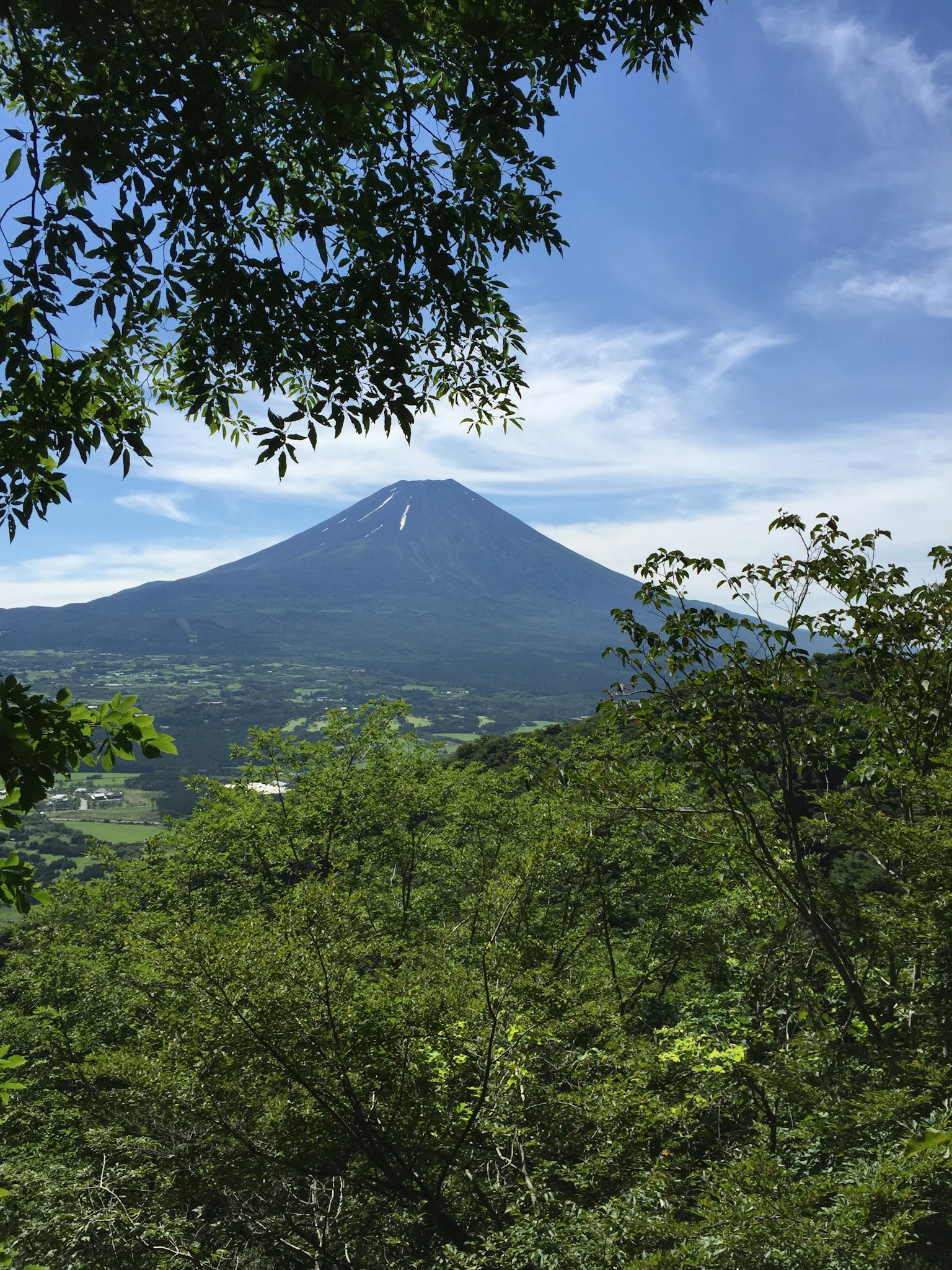被郁郁葱葱的绿色植物和蓝天环绕的山景