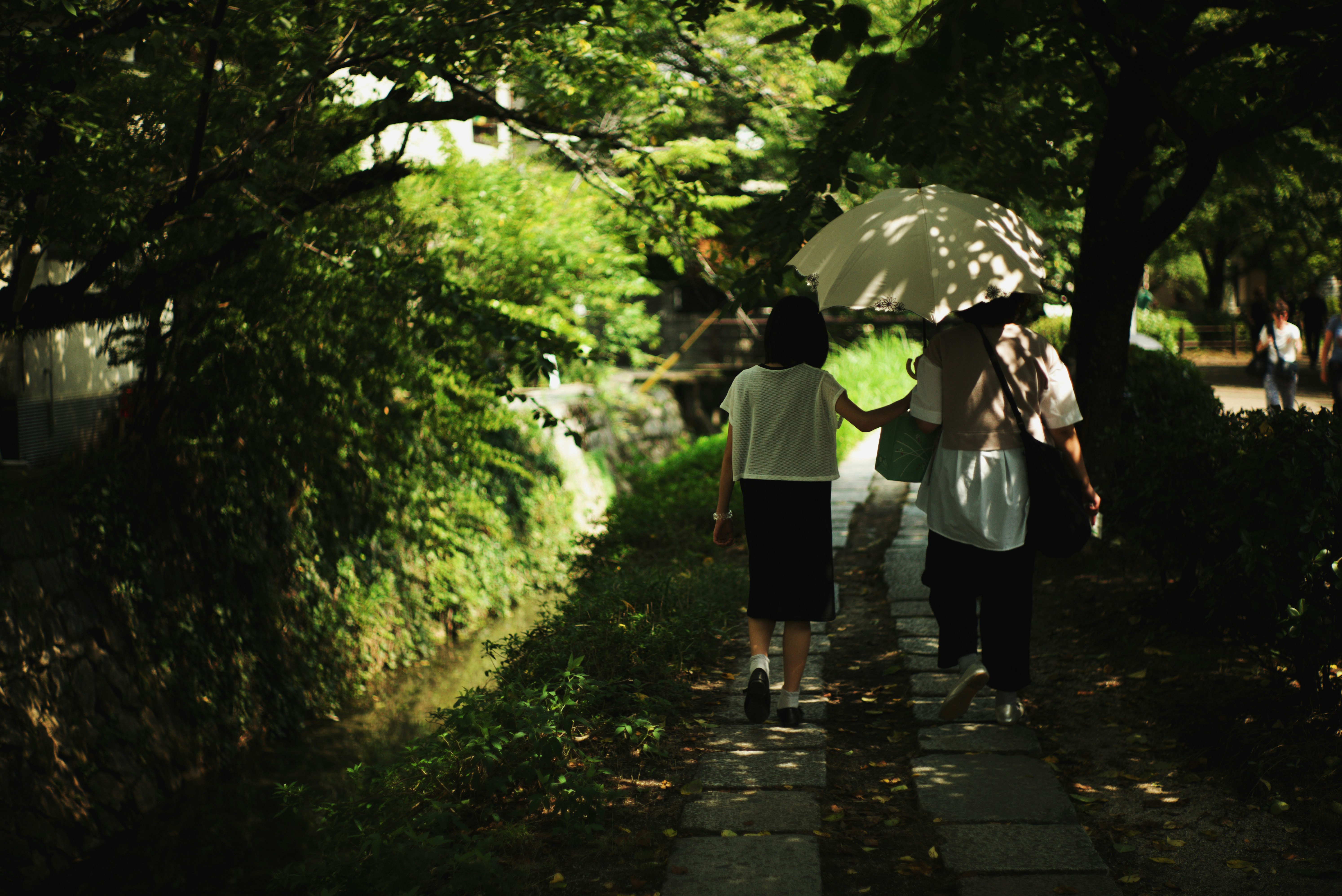 木漏れ日の差す並木道を歩く人々の後ろ姿