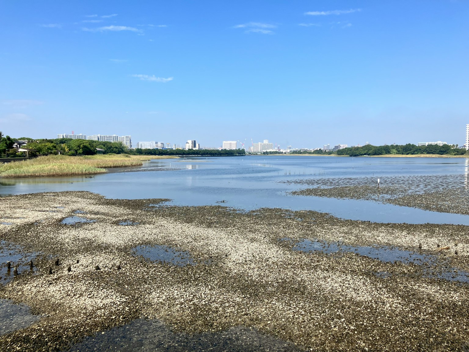 Landscape featuring a calm water surface under a blue sky