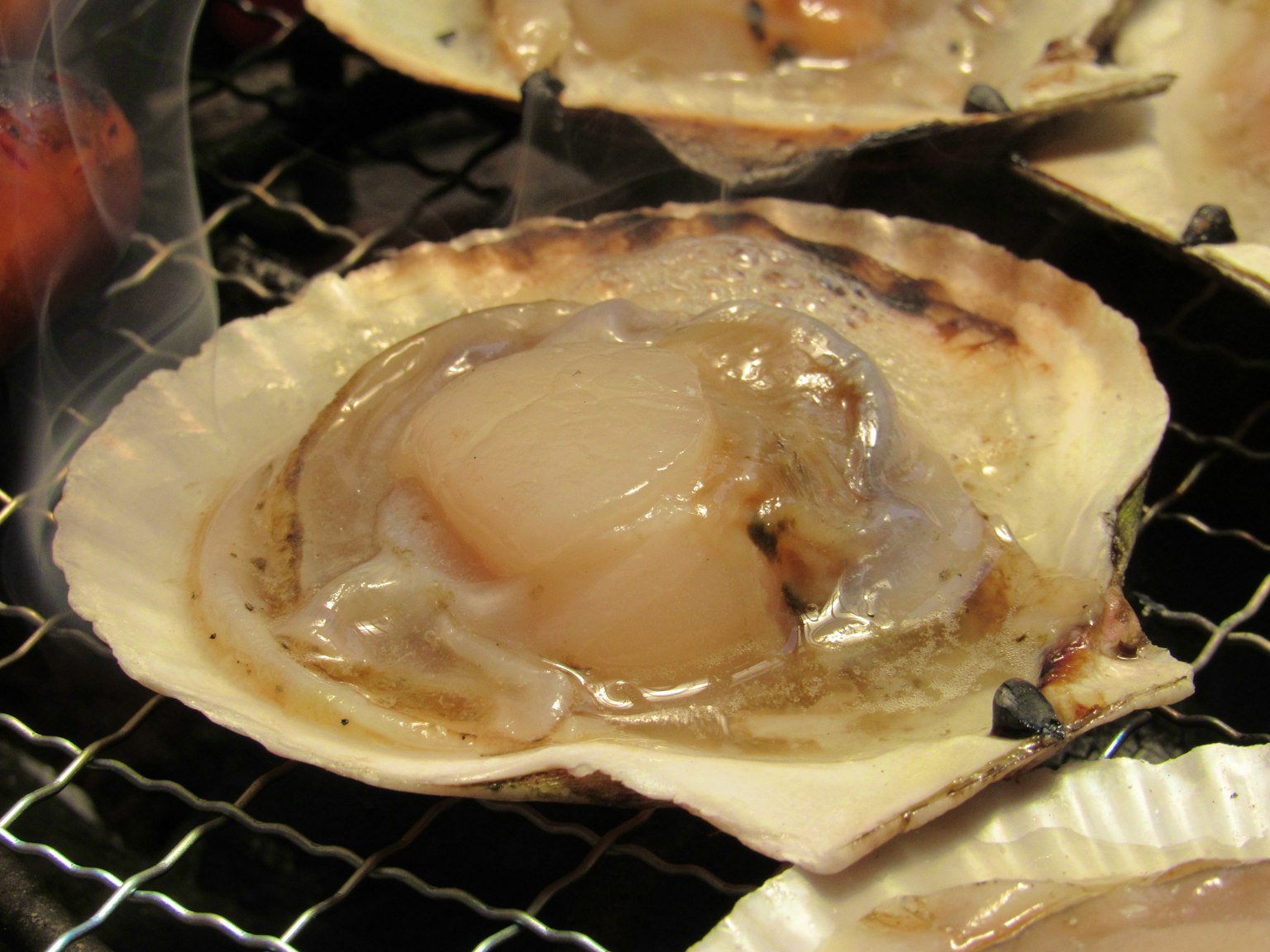 Scallop frais sur une coquille en train de griller