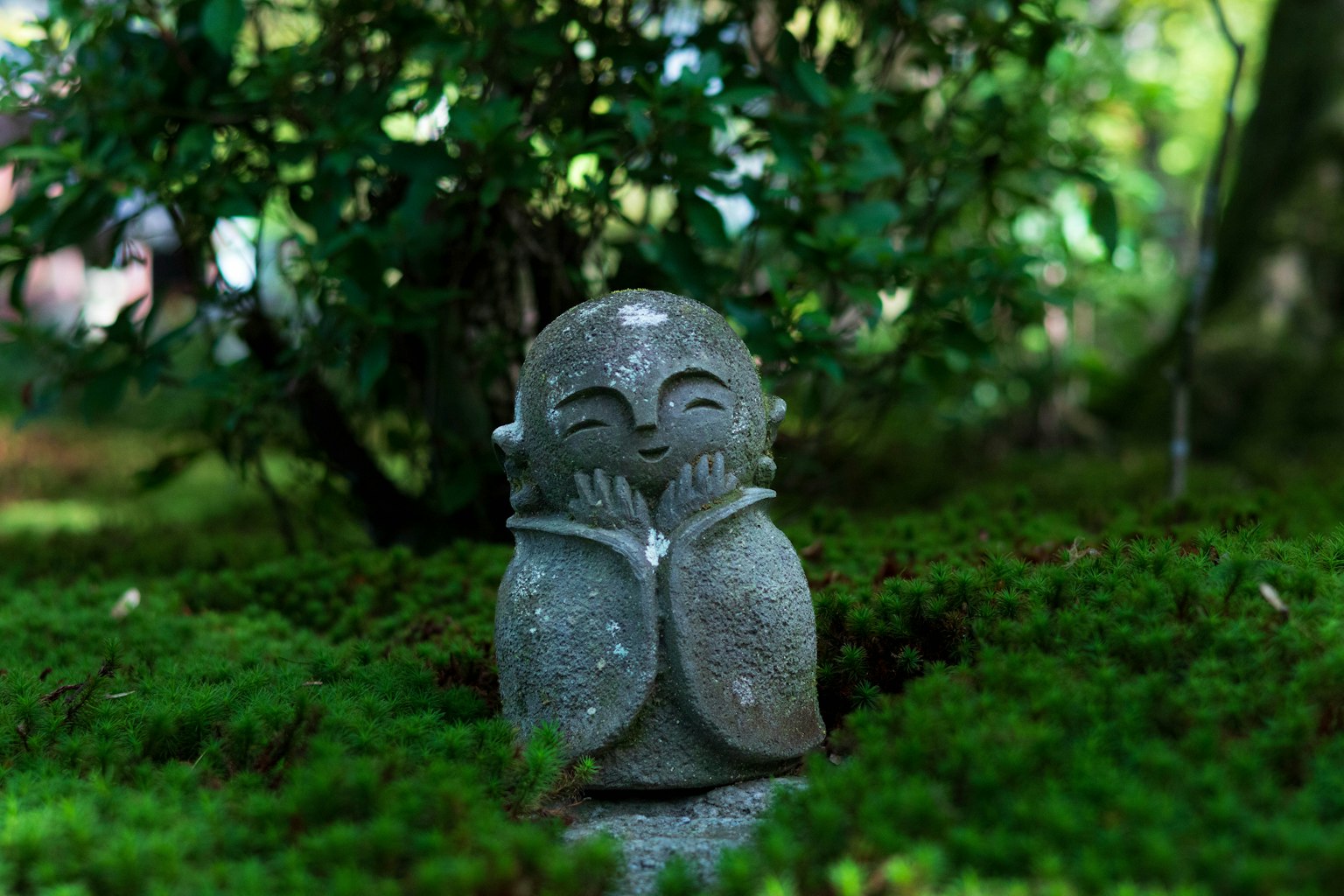 坐在绿色苔藓中的微笑石像，双手托着脸颊