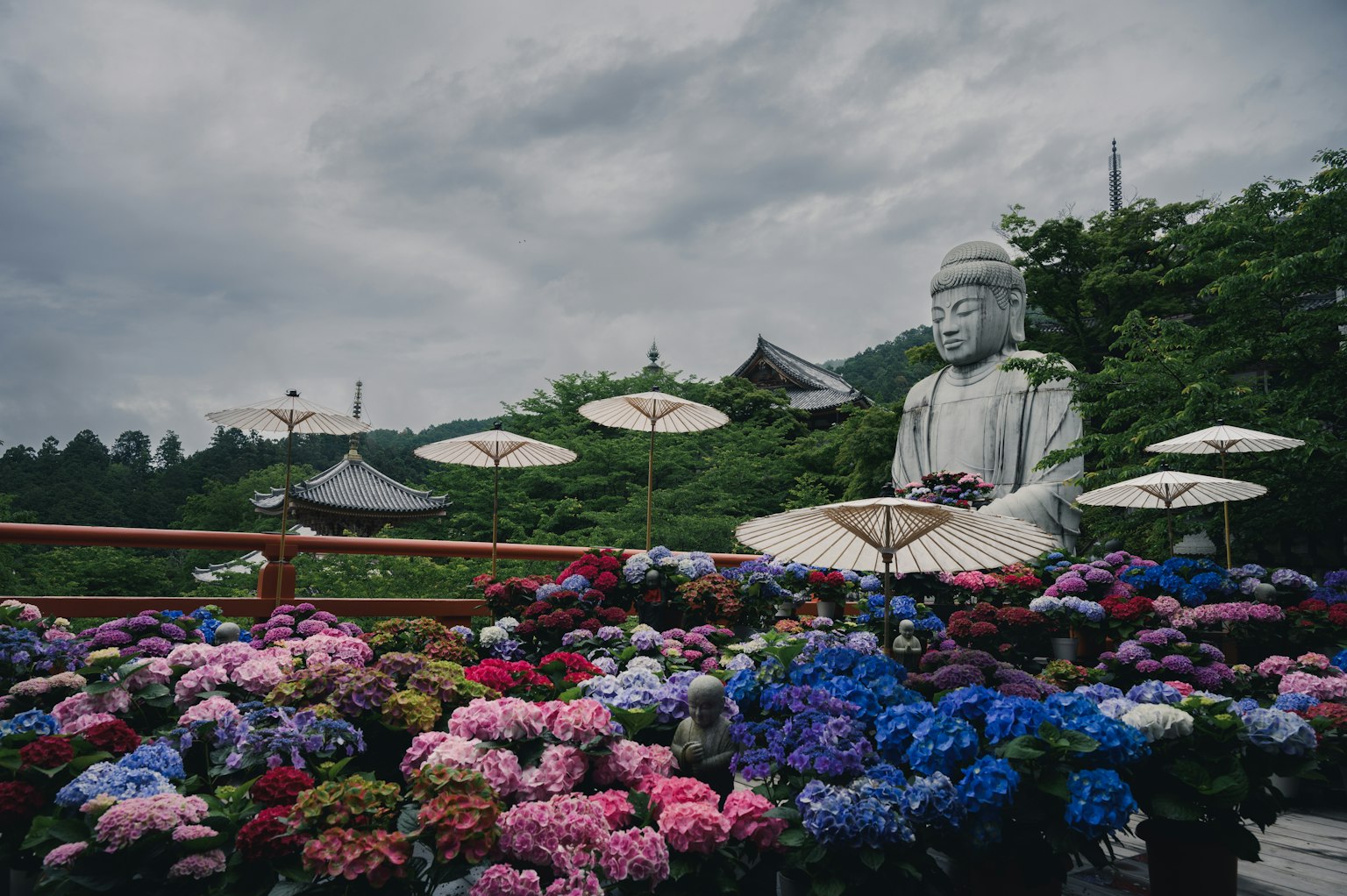 Una scena serena con una grande statua di Buddha circondata da fiori vivaci e ombrelloni