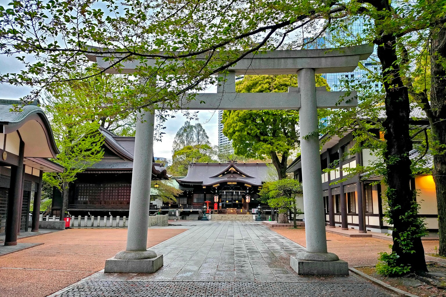 Cổng vào một ngôi đền với cổng torii được bao quanh bởi cây xanh tươi