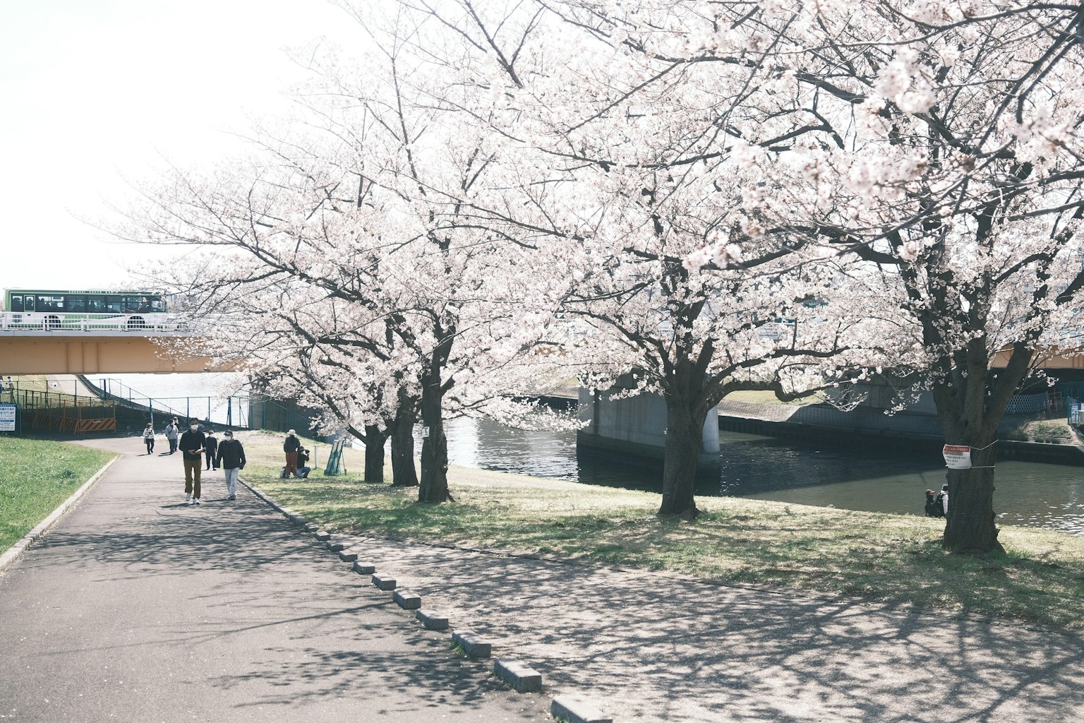 photo-XaDbFtwPXdfK4nZ3mtLK-image
