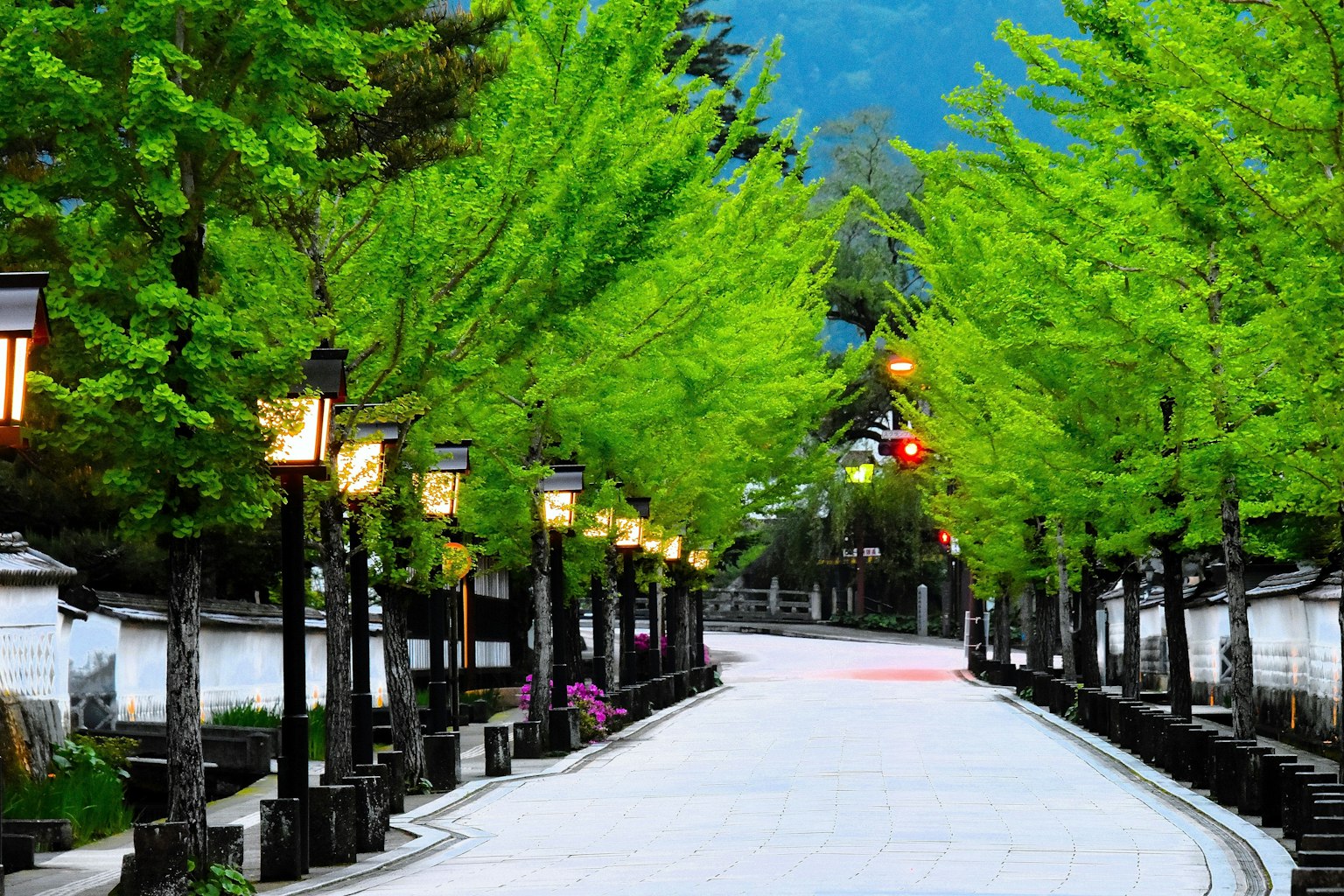 photo-XaHh131mpSFh7HdLIsol-image