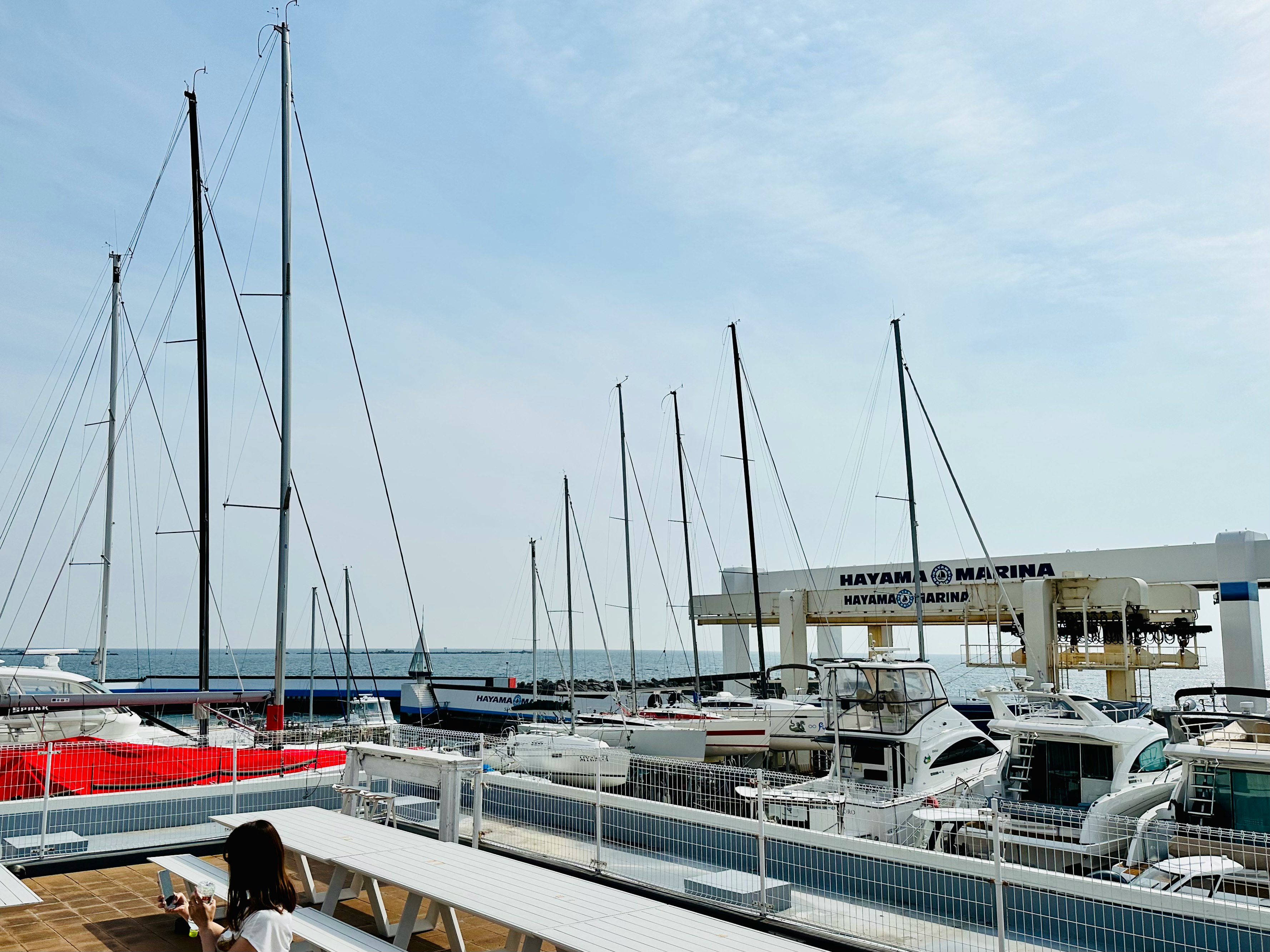 puerto deportivo con filas de yates y muelles
